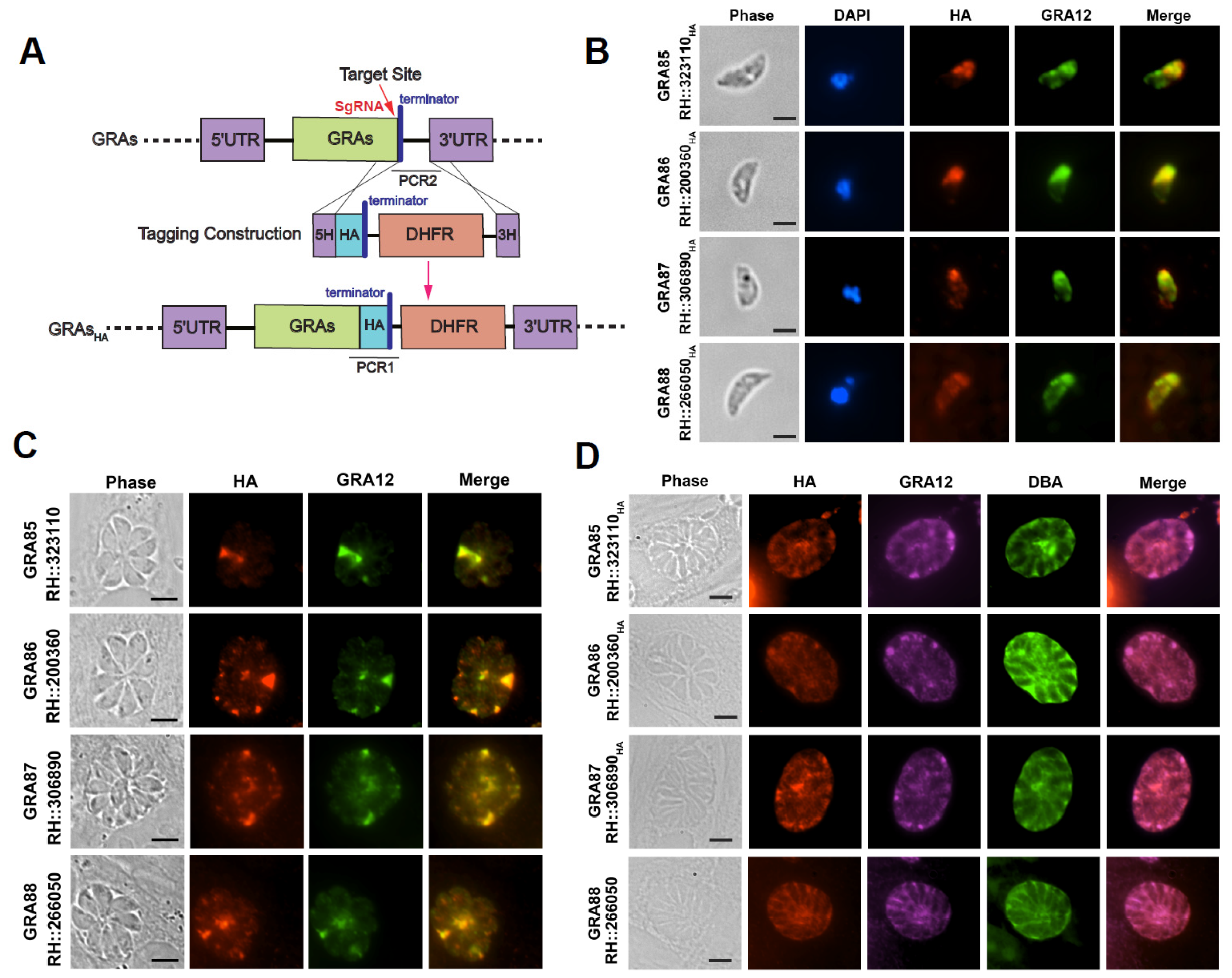 Animals 15 02591 g001 Animals 15 02591 g001