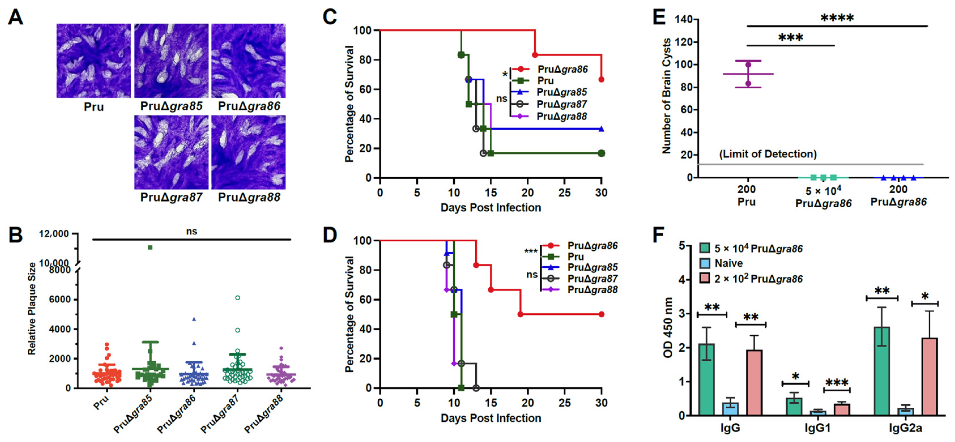 Animals 15 02591 g004 Animals 15 02591 g004