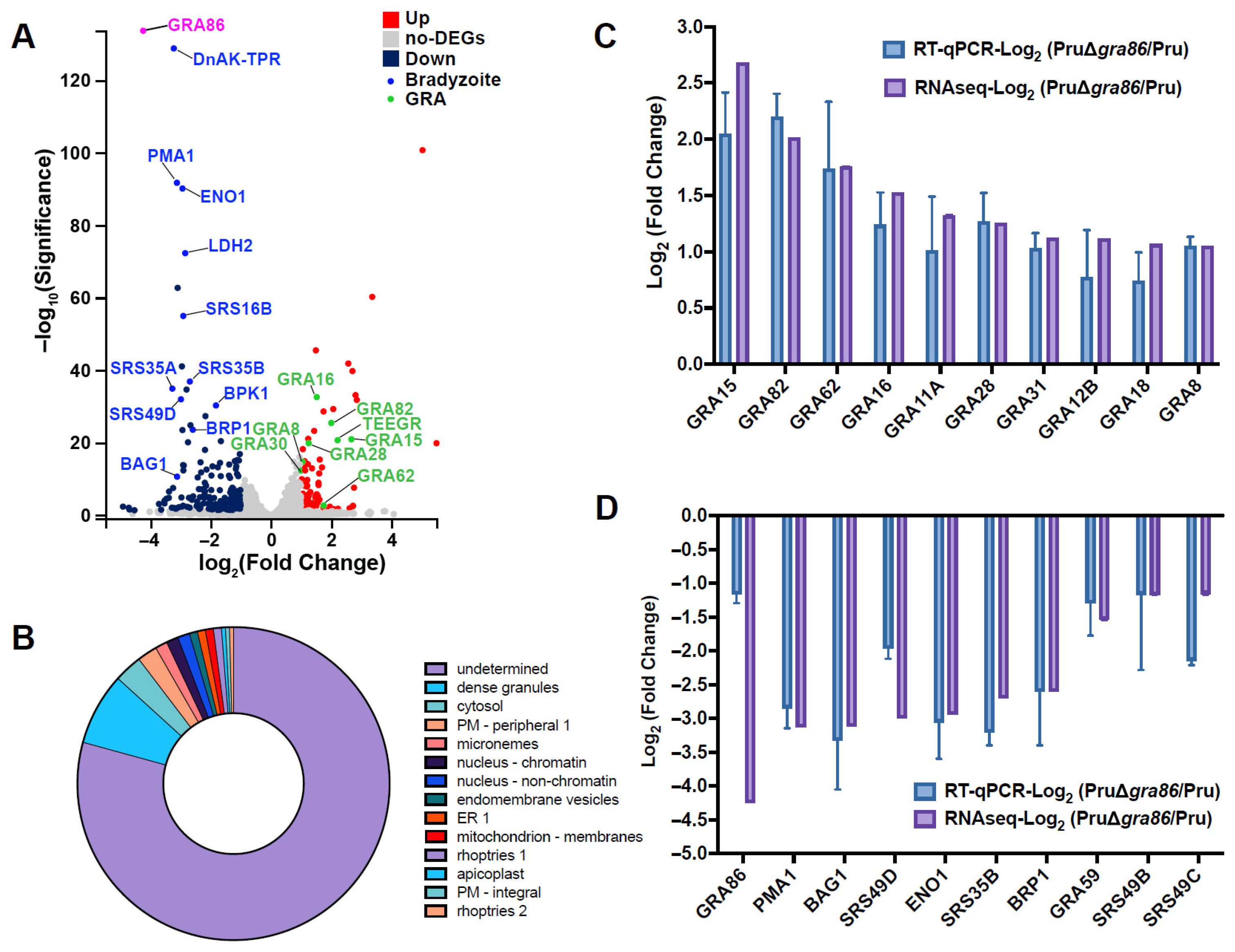 Animals 15 02591 g005 Animals 15 02591 g005