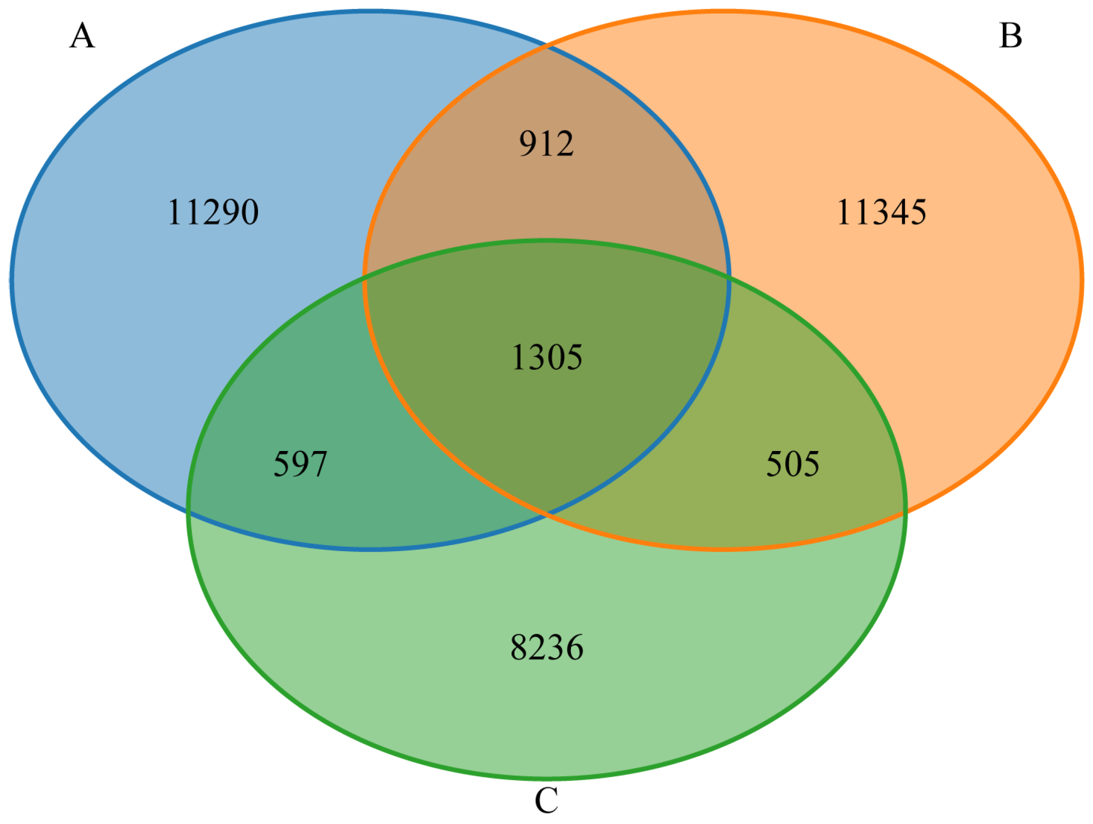 Animals 15 02592 g002