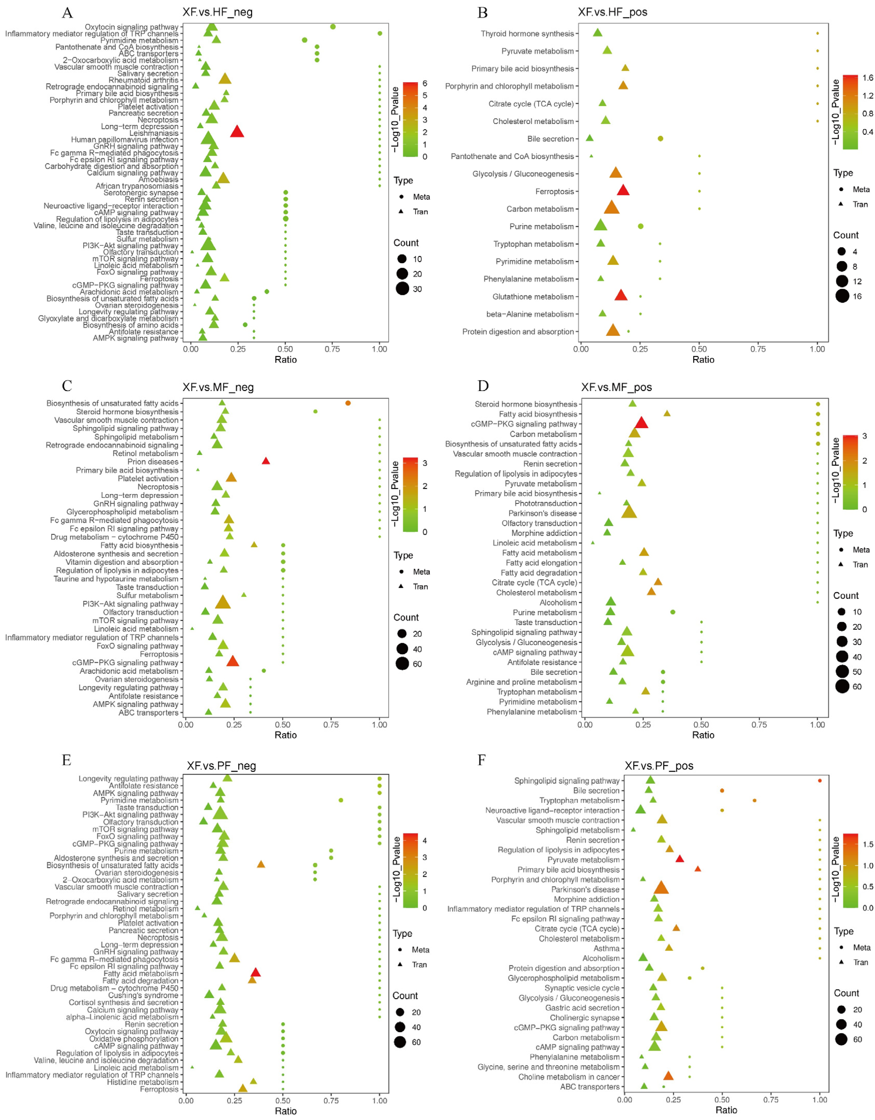 Animals 15 02599 g006