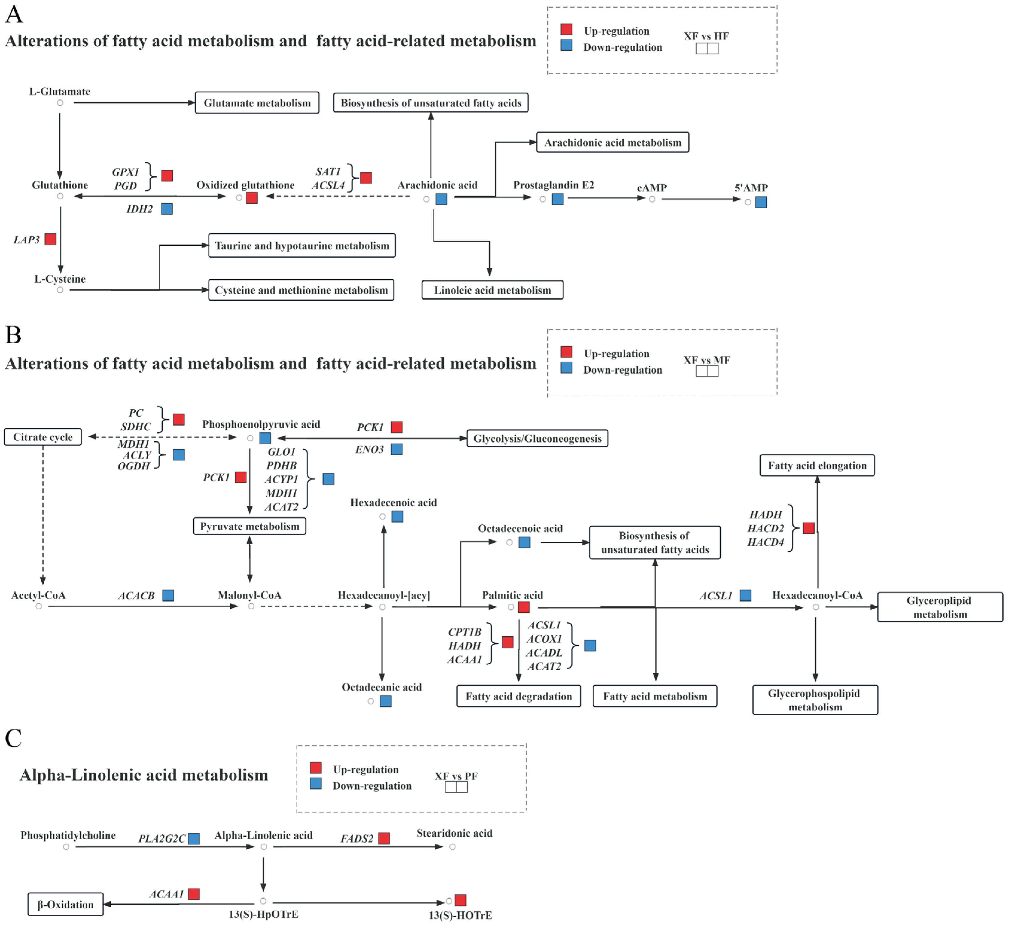 Animals 15 02599 g007