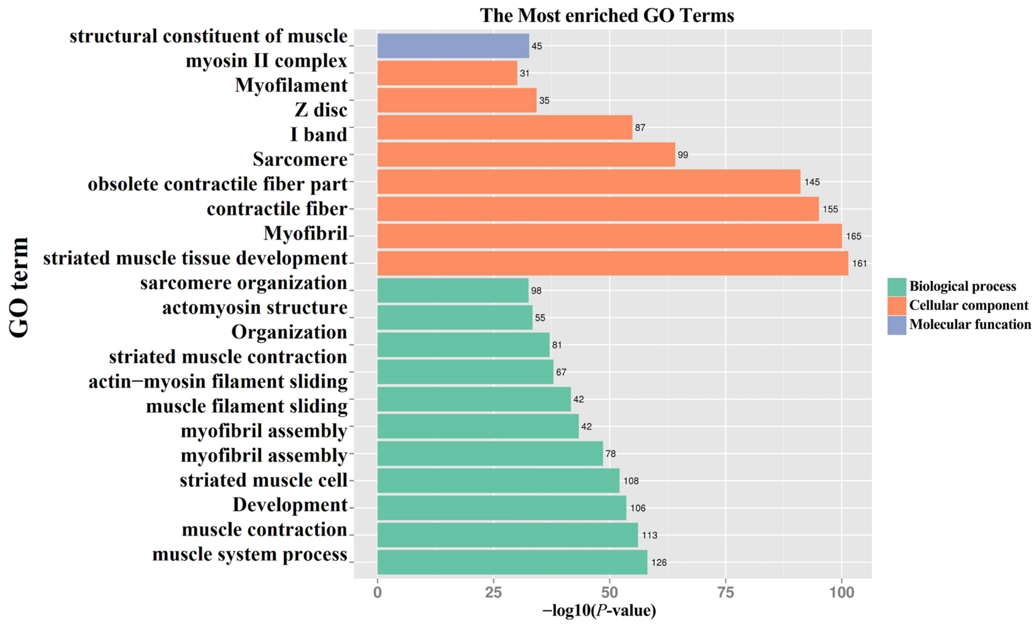 Animals 15 02602 g002 Animals 15 02602 g002