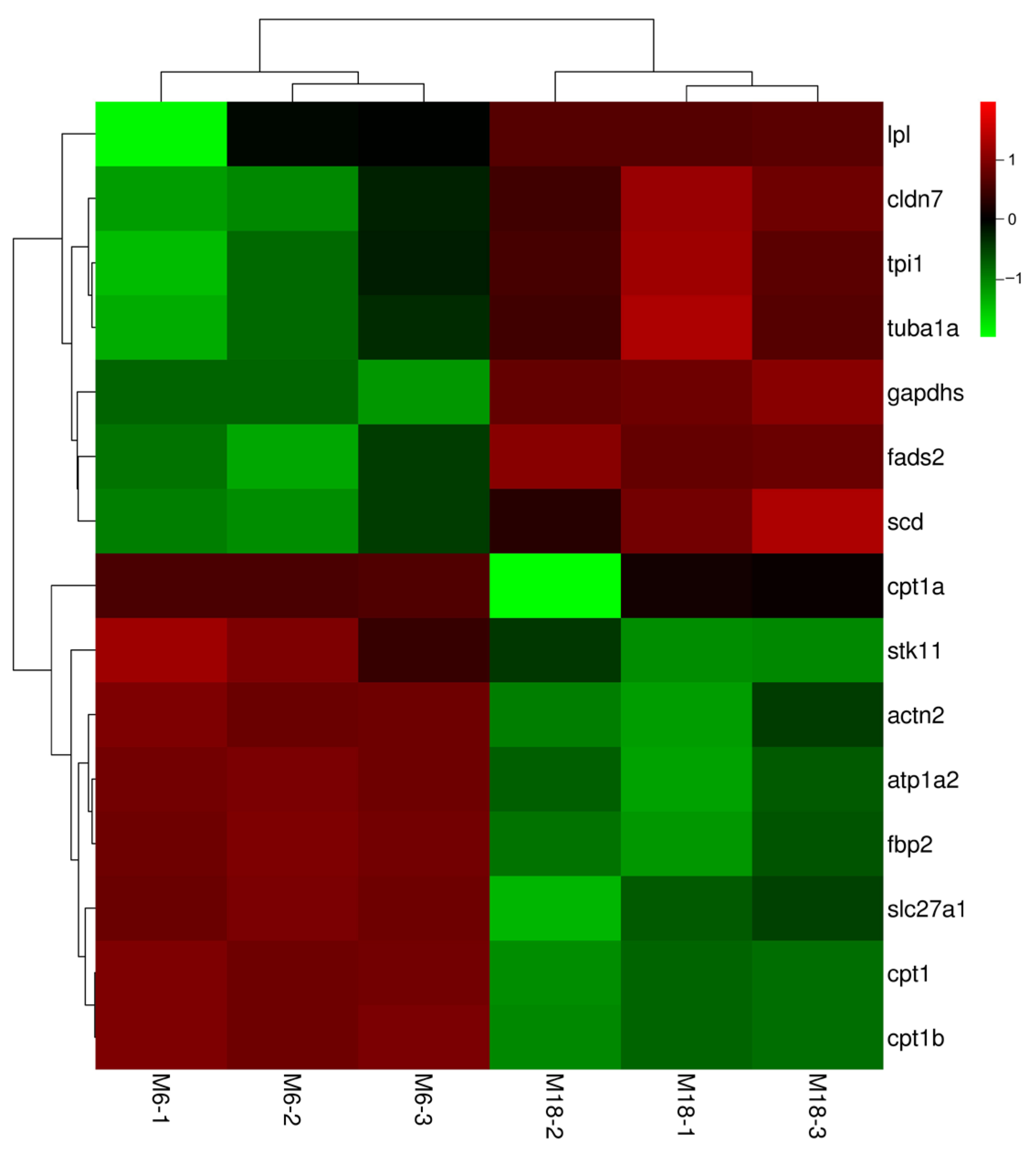 Animals 15 02602 g004 Animals 15 02602 g004