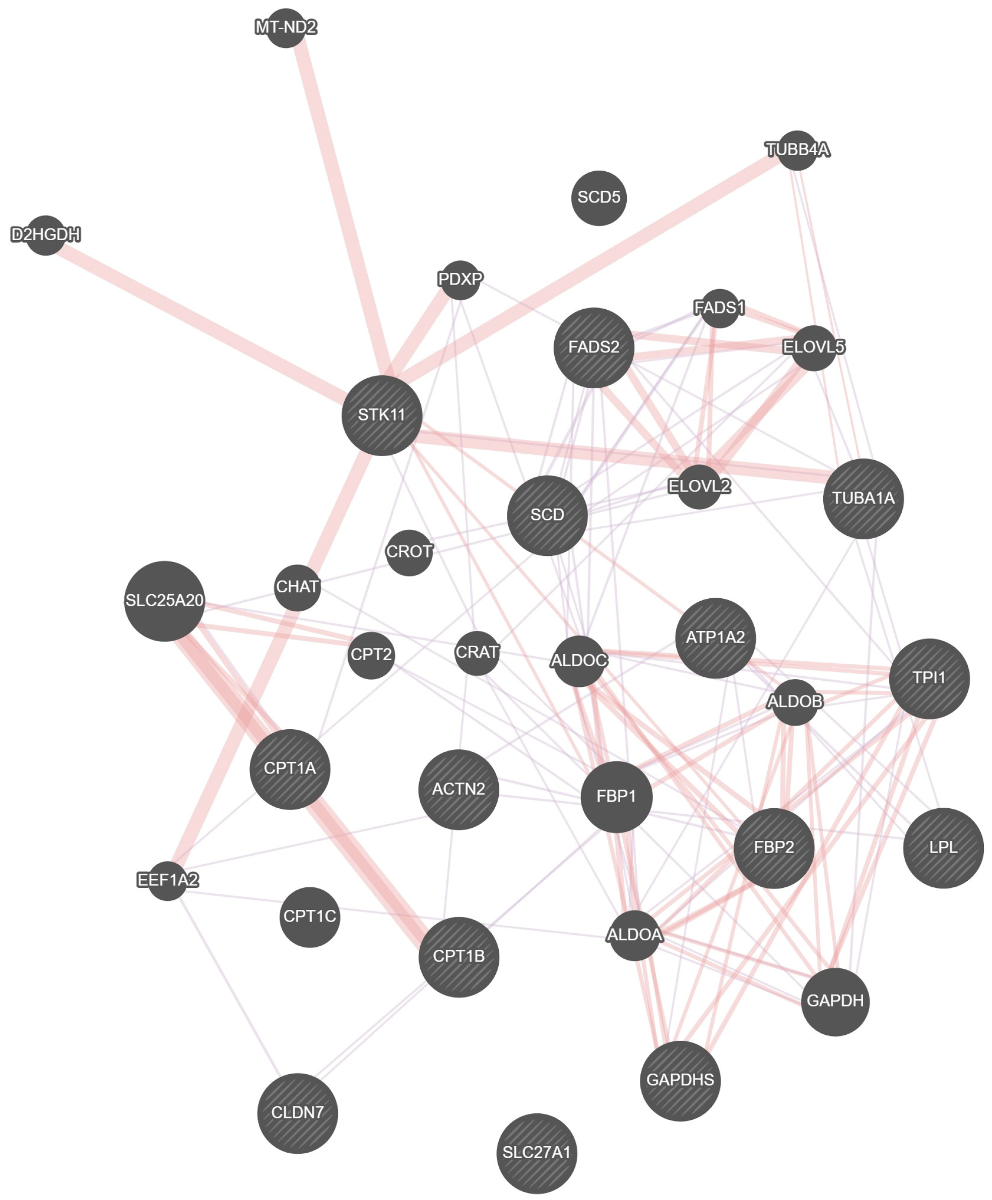 Animals 15 02602 g005 Animals 15 02602 g005