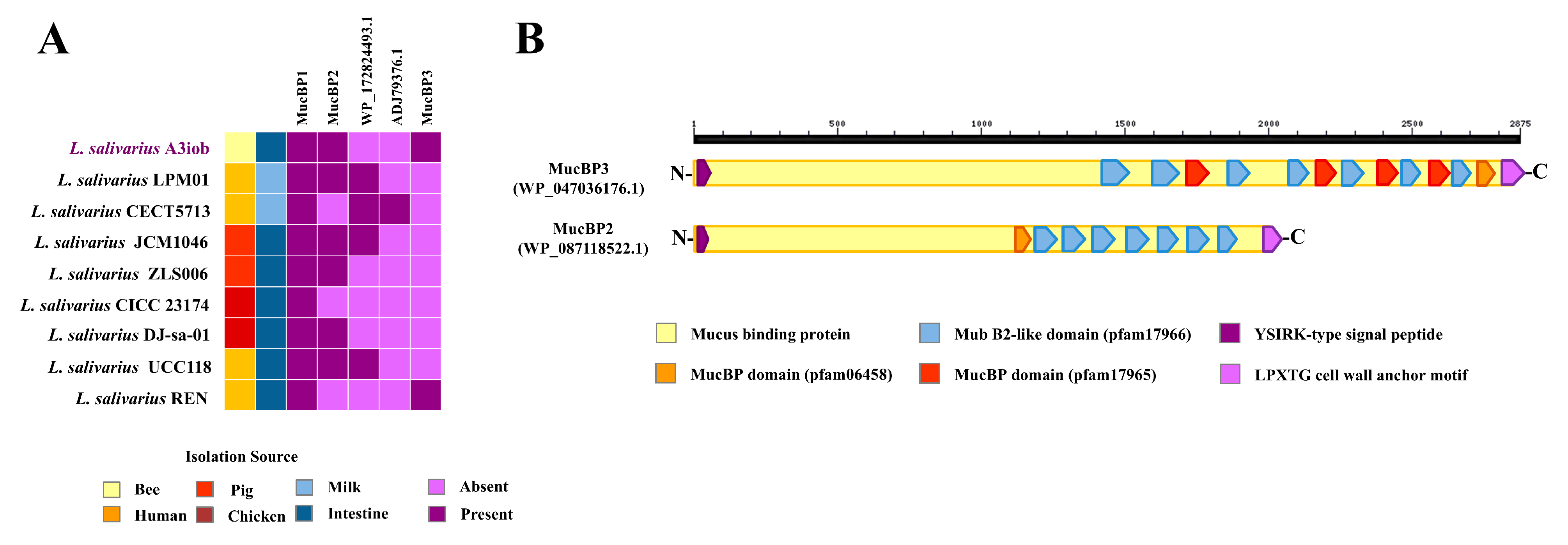 Animals 15 02606 g003 Animals 15 02606 g003