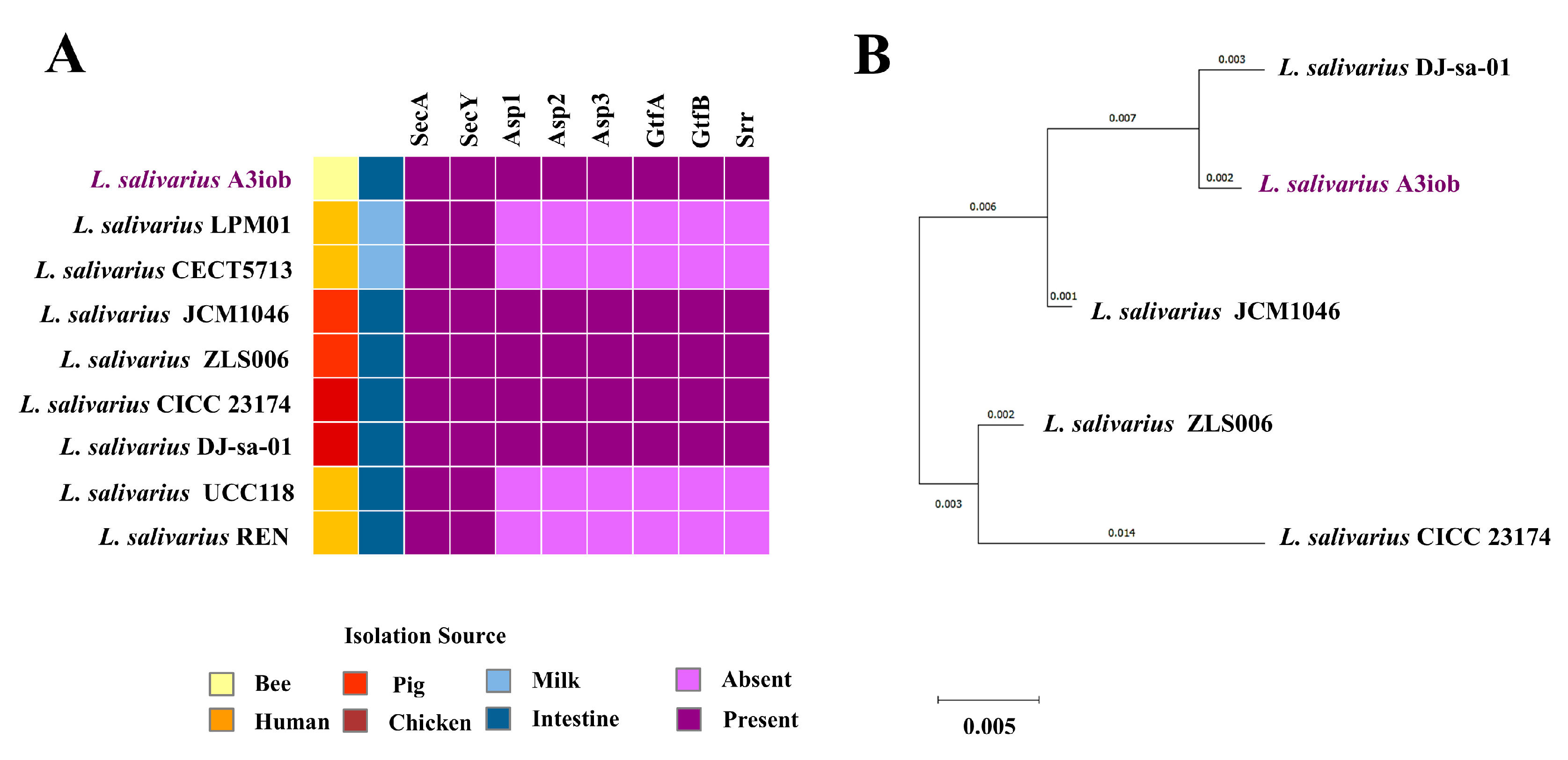 Animals 15 02606 g004 Animals 15 02606 g004