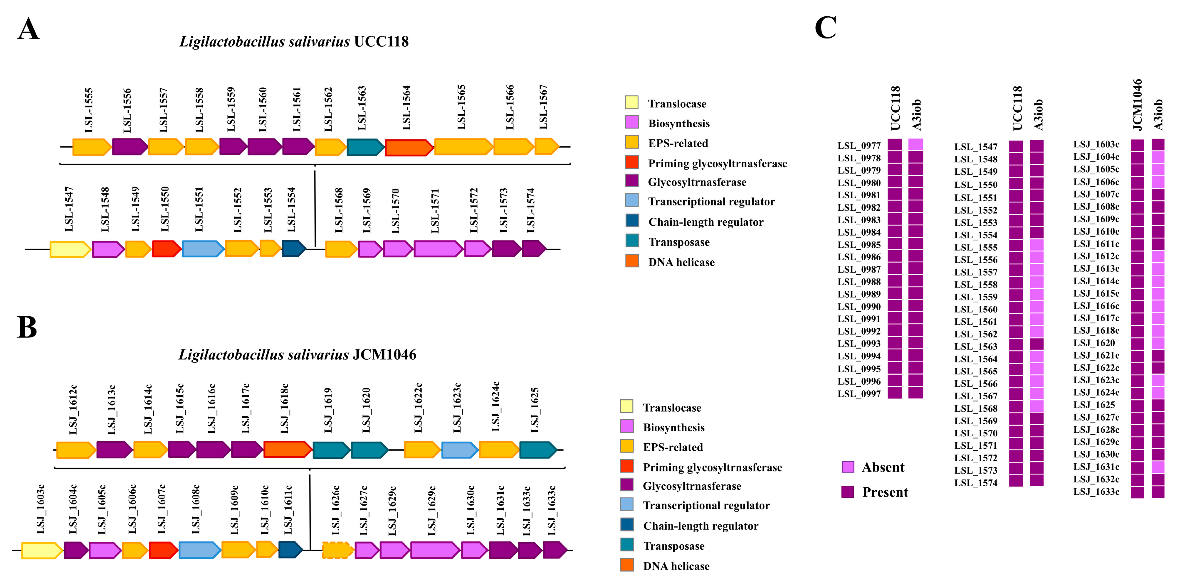 Animals 15 02606 g005 Animals 15 02606 g005