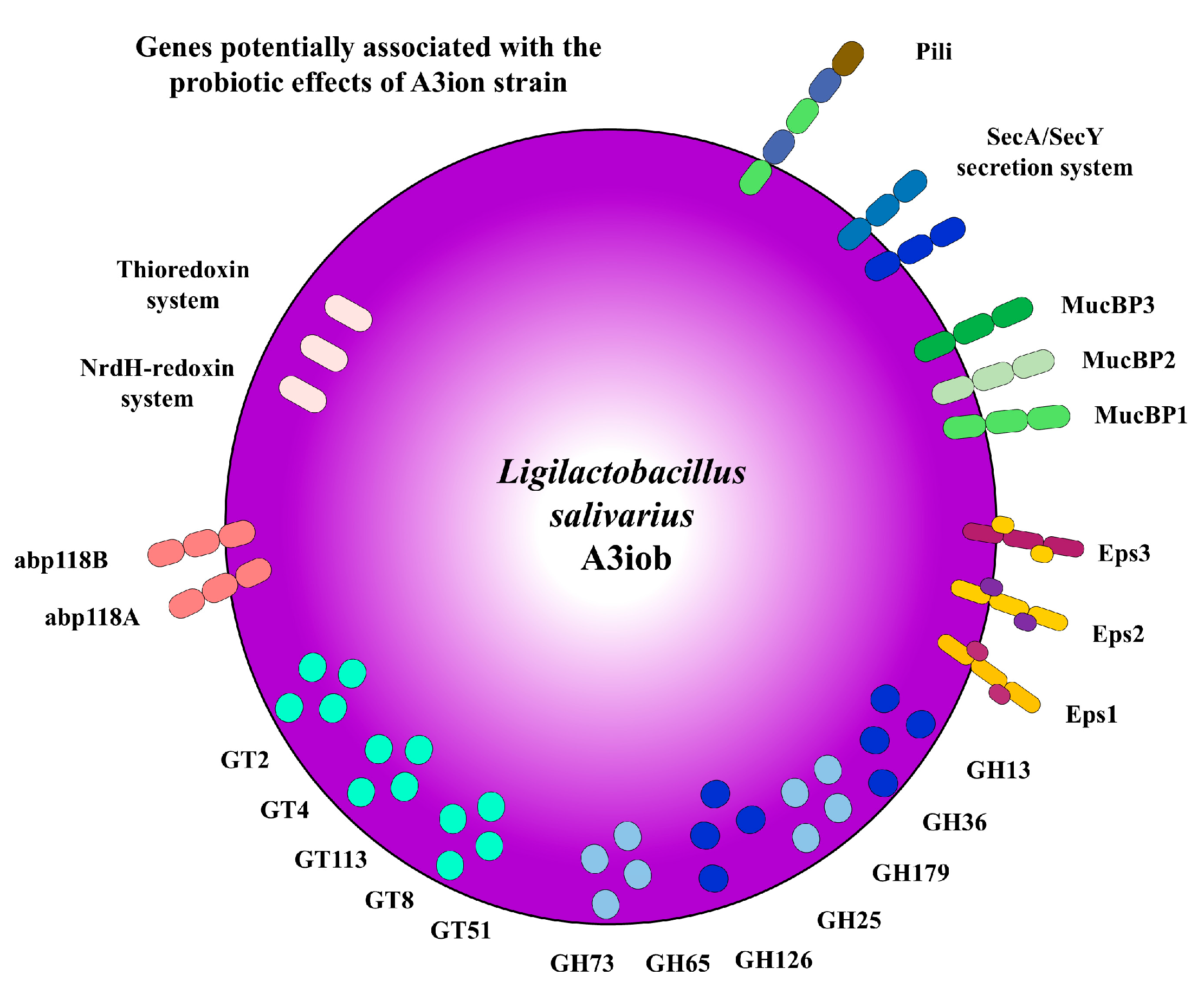 Animals 15 02606 g008 Animals 15 02606 g008