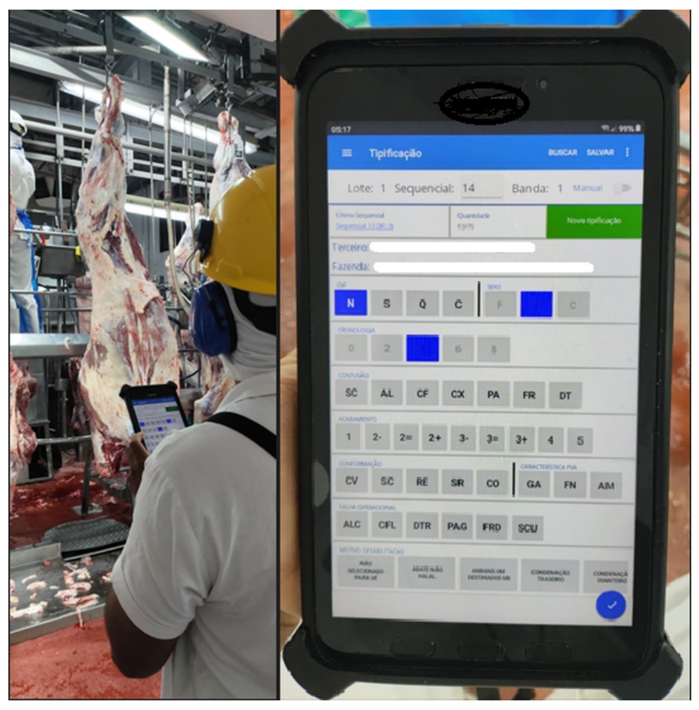 Animals 15 02608 g001