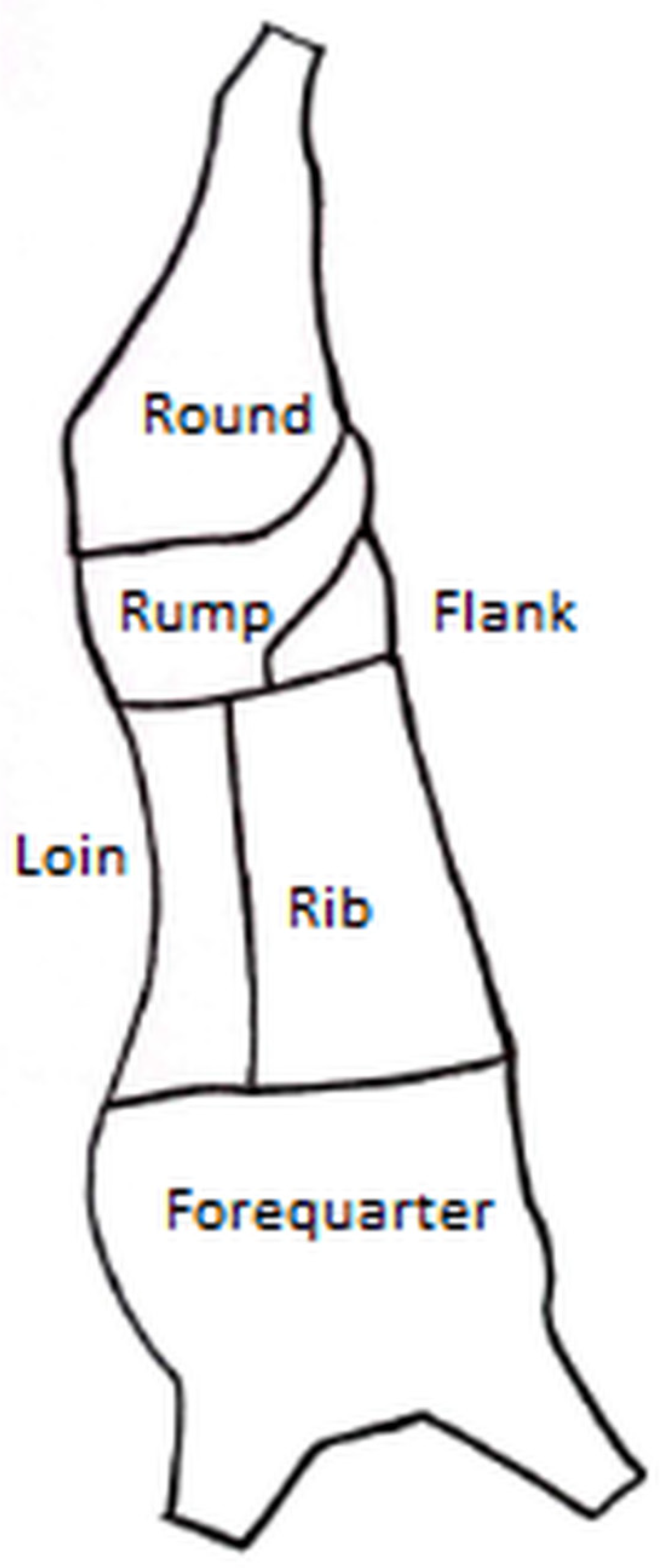 Animals 15 02608 g002