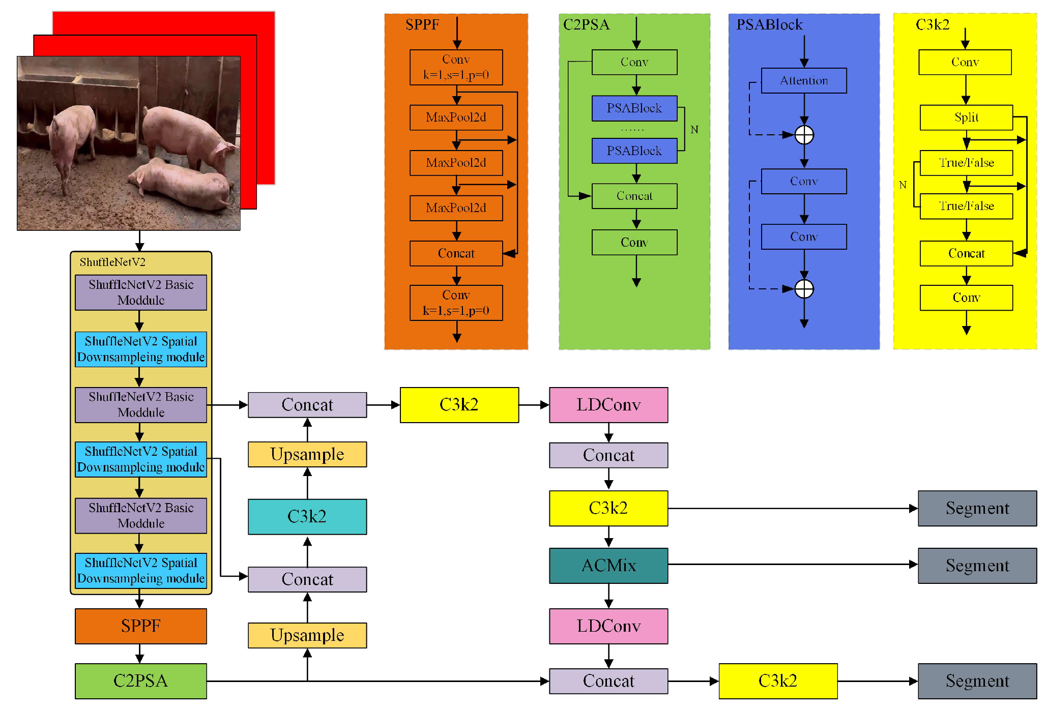 Animals 15 02611 g001