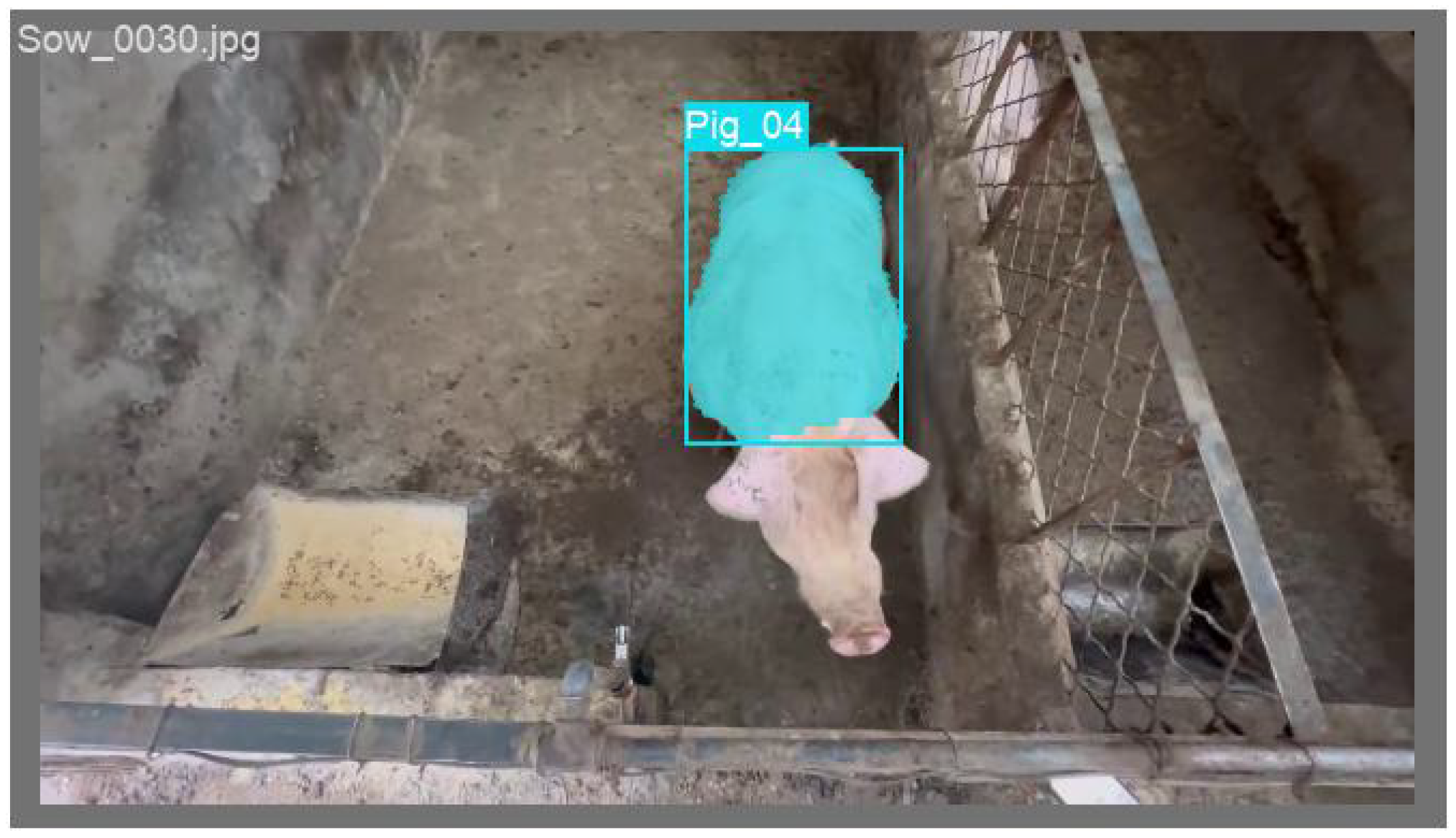 Animals 15 02611 g003