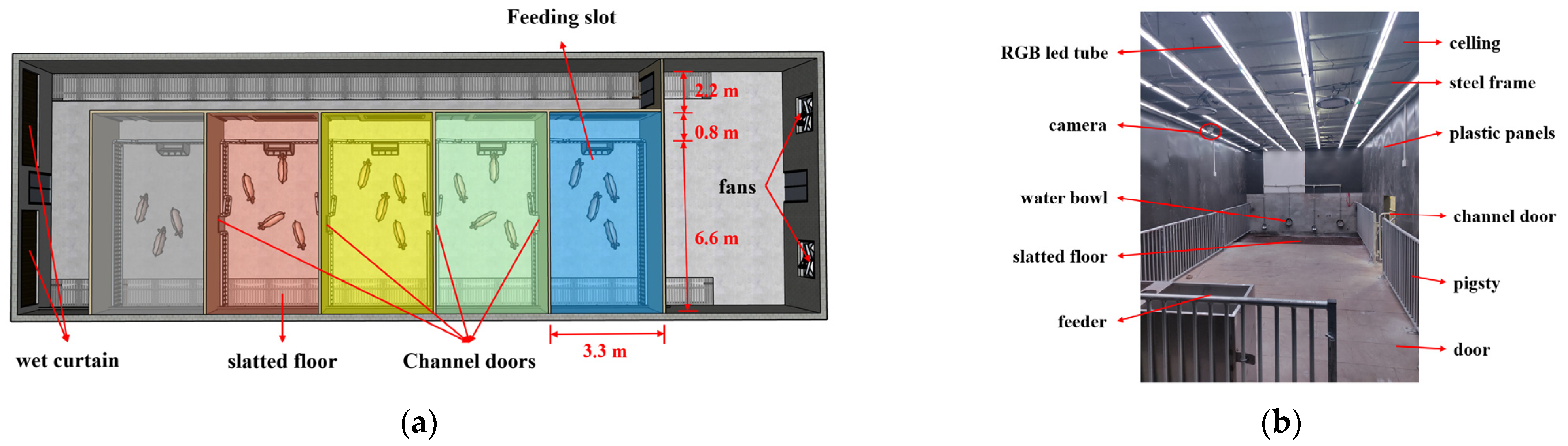Animals 15 02620 g001