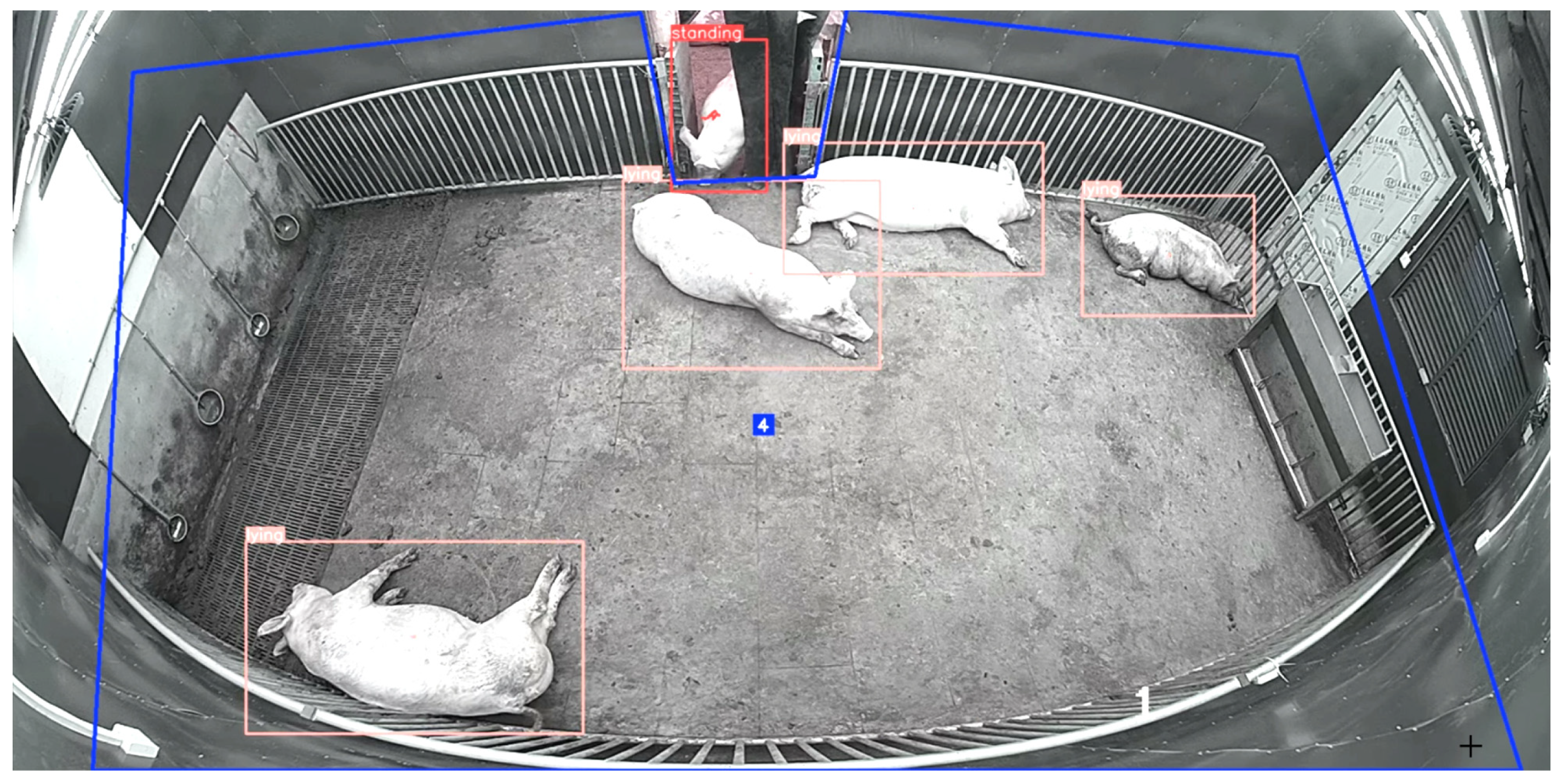 Animals 15 02620 g004