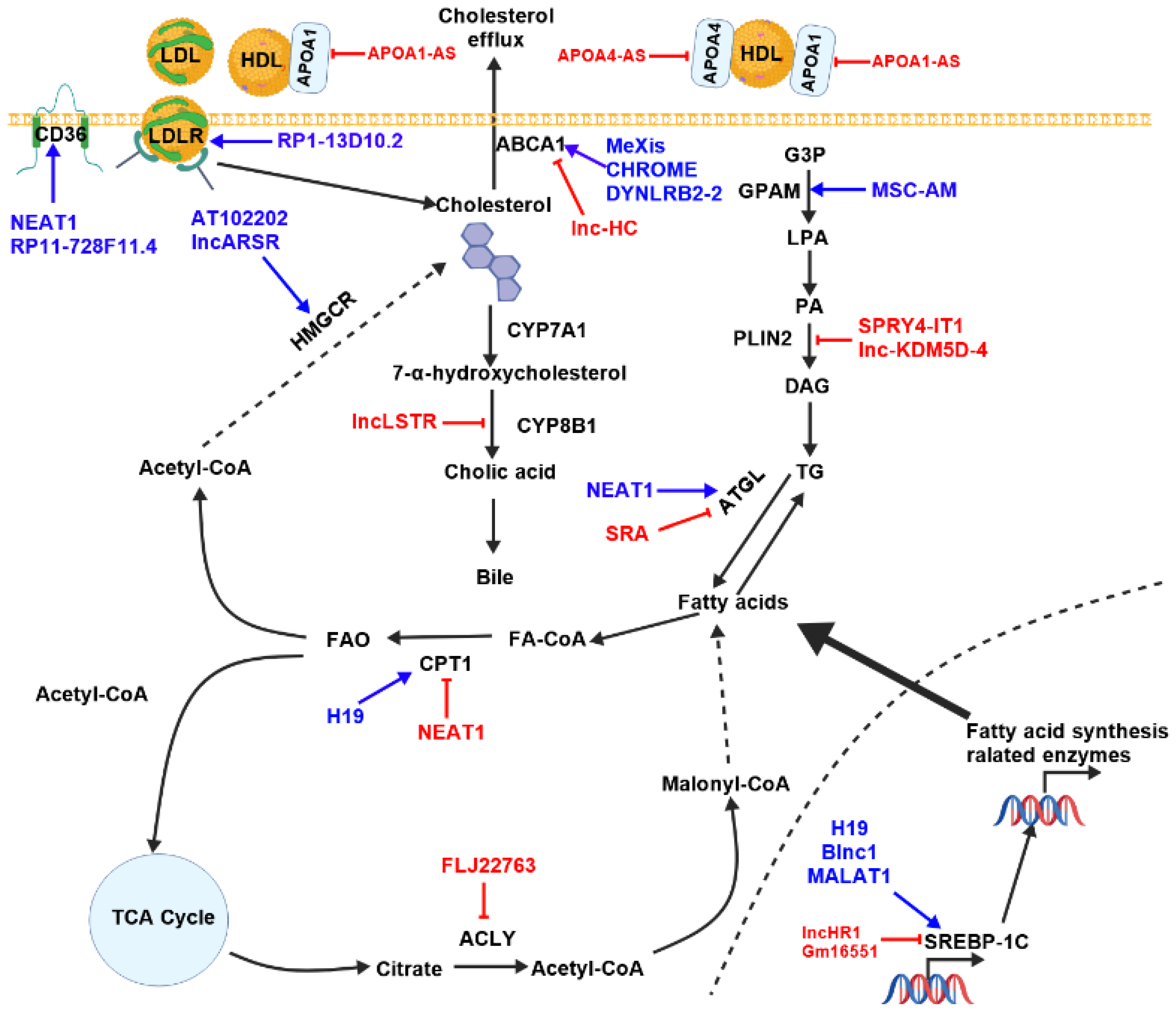 Animals 15 02621 g005 Animals 15 02621 g005
