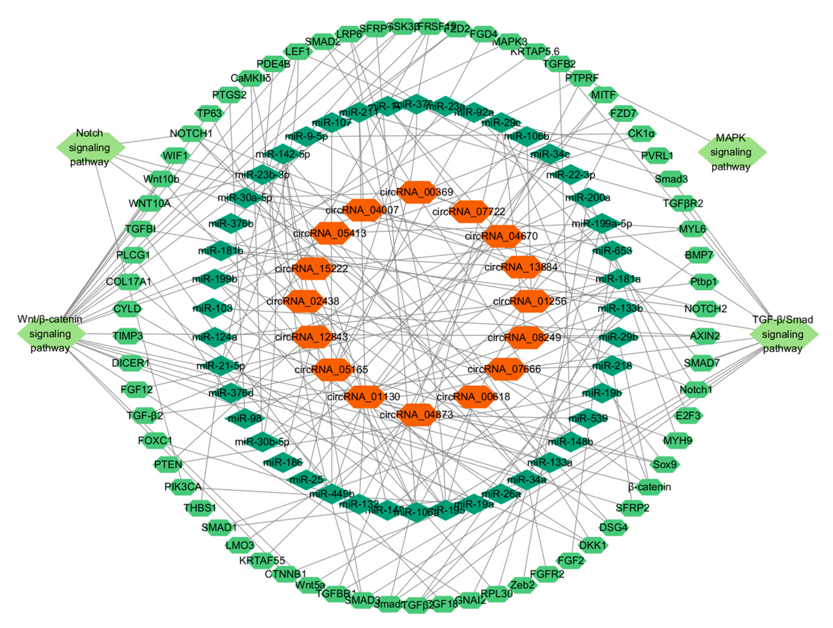 Animals 15 02629 g007 Animals 15 02629 g007