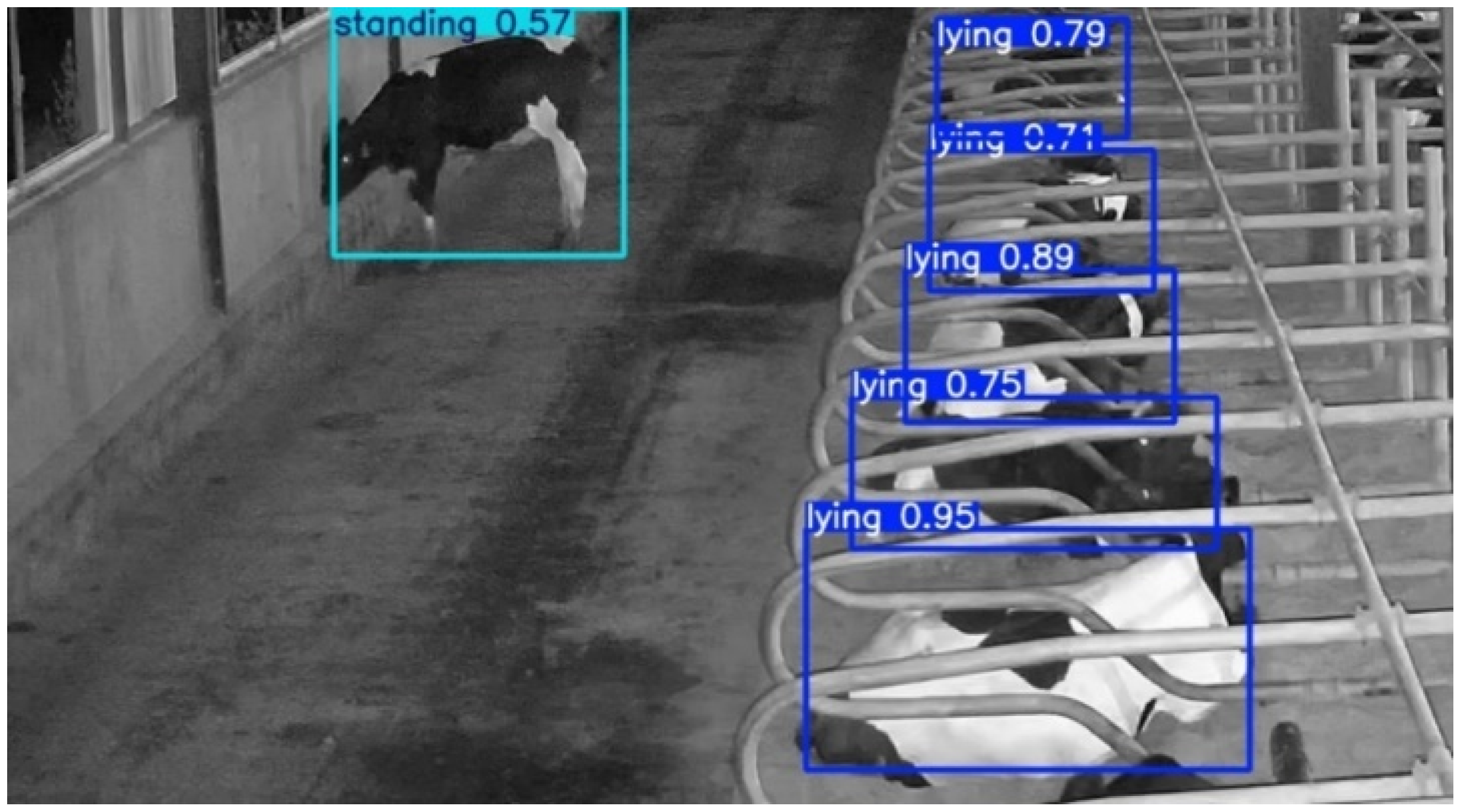 Animals 15 02631 g016 Animals 15 02631 g016