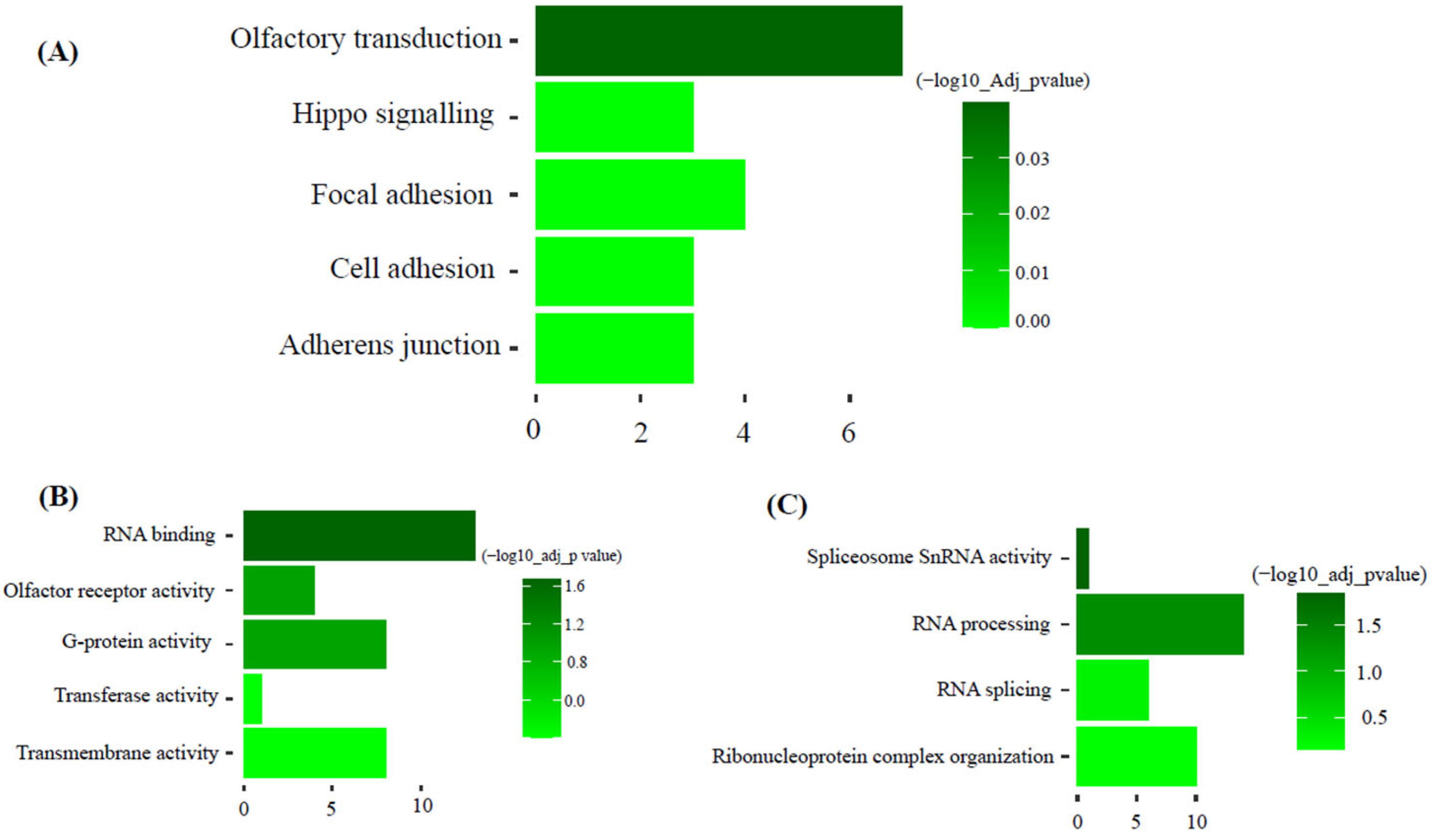 Animals 15 02636 g005 Animals 15 02636 g005