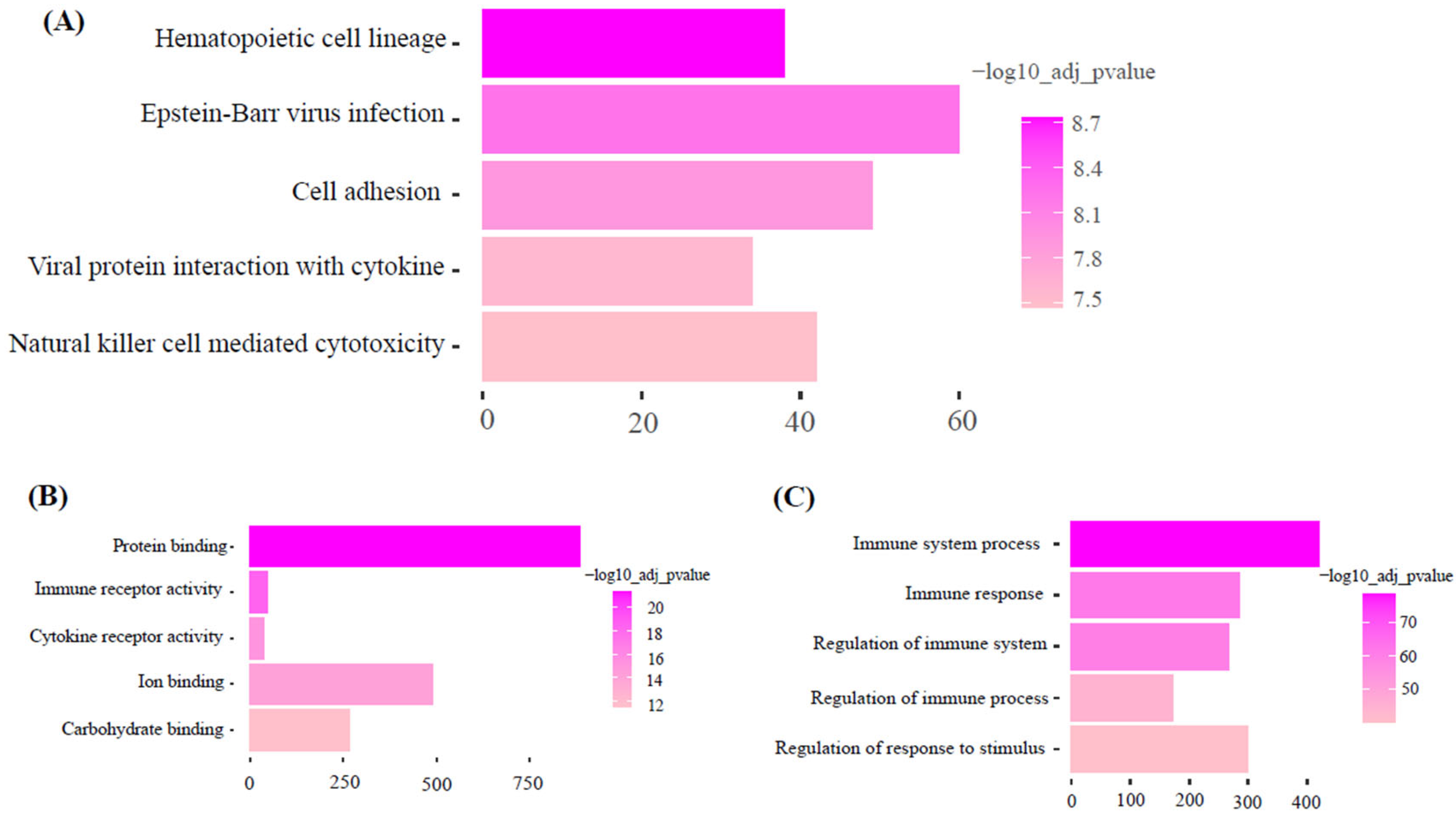 Animals 15 02636 g006 Animals 15 02636 g006