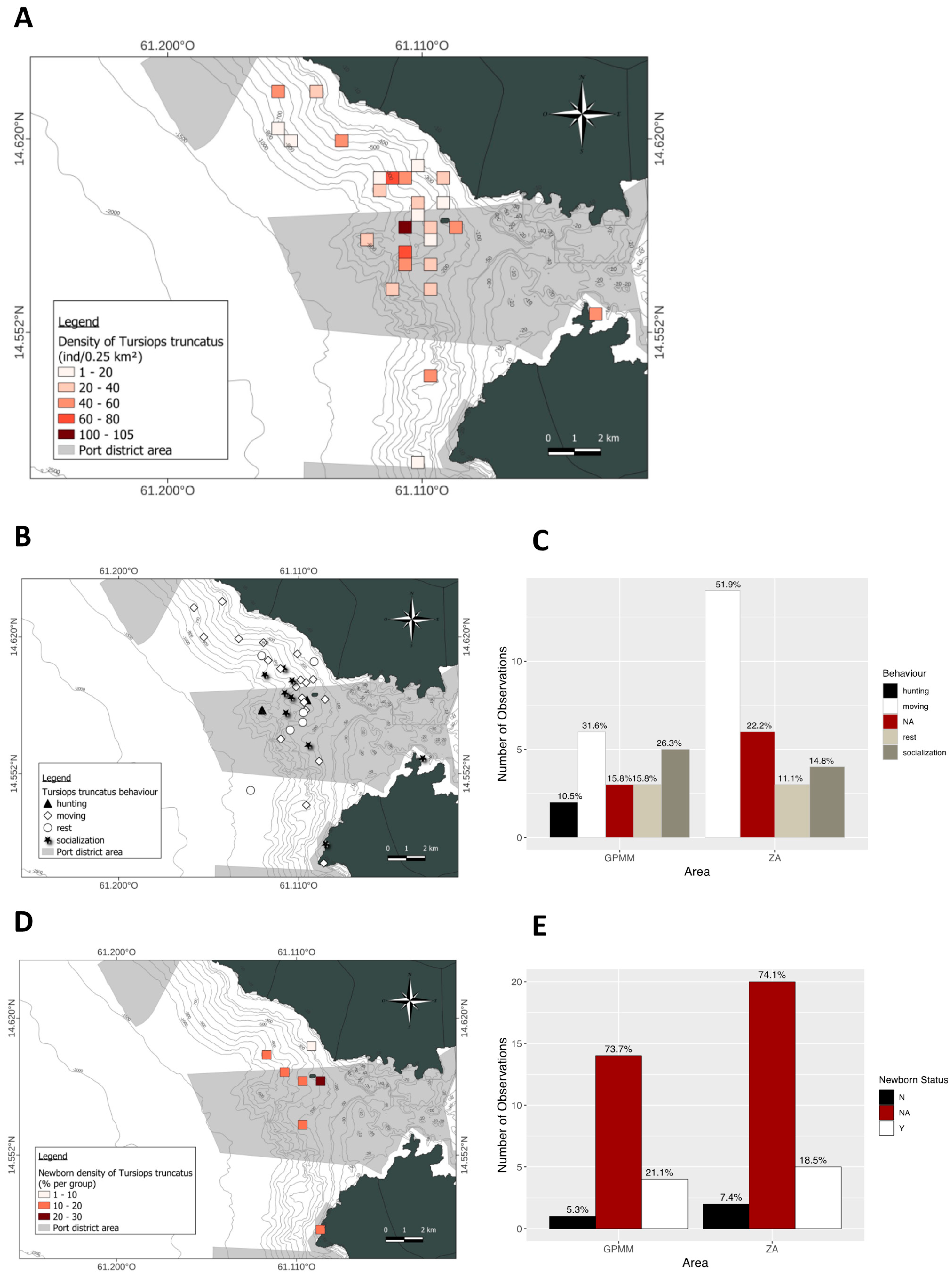 Animals 15 02640 g006 Animals 15 02640 g006