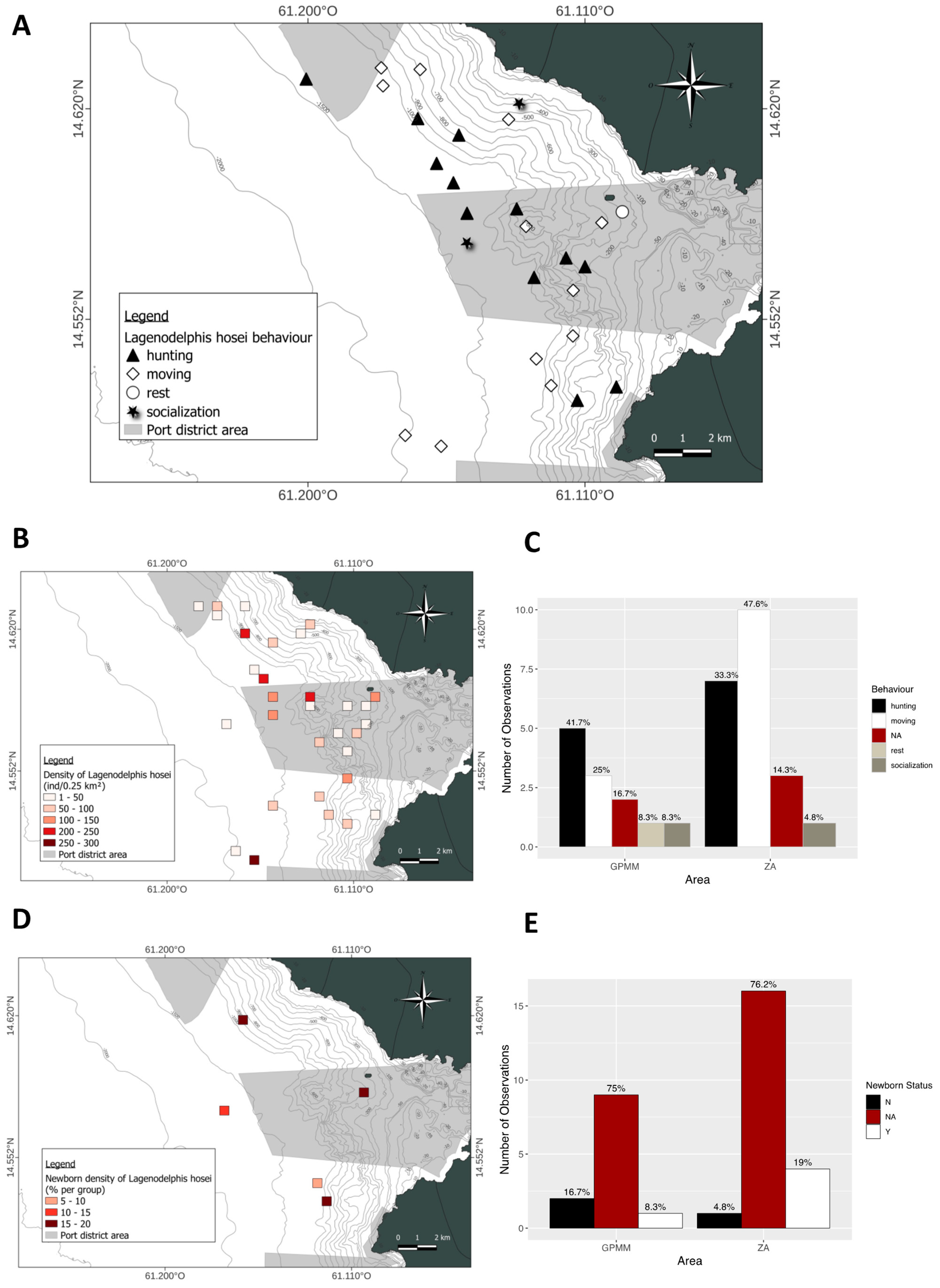 Animals 15 02640 g010 Animals 15 02640 g010