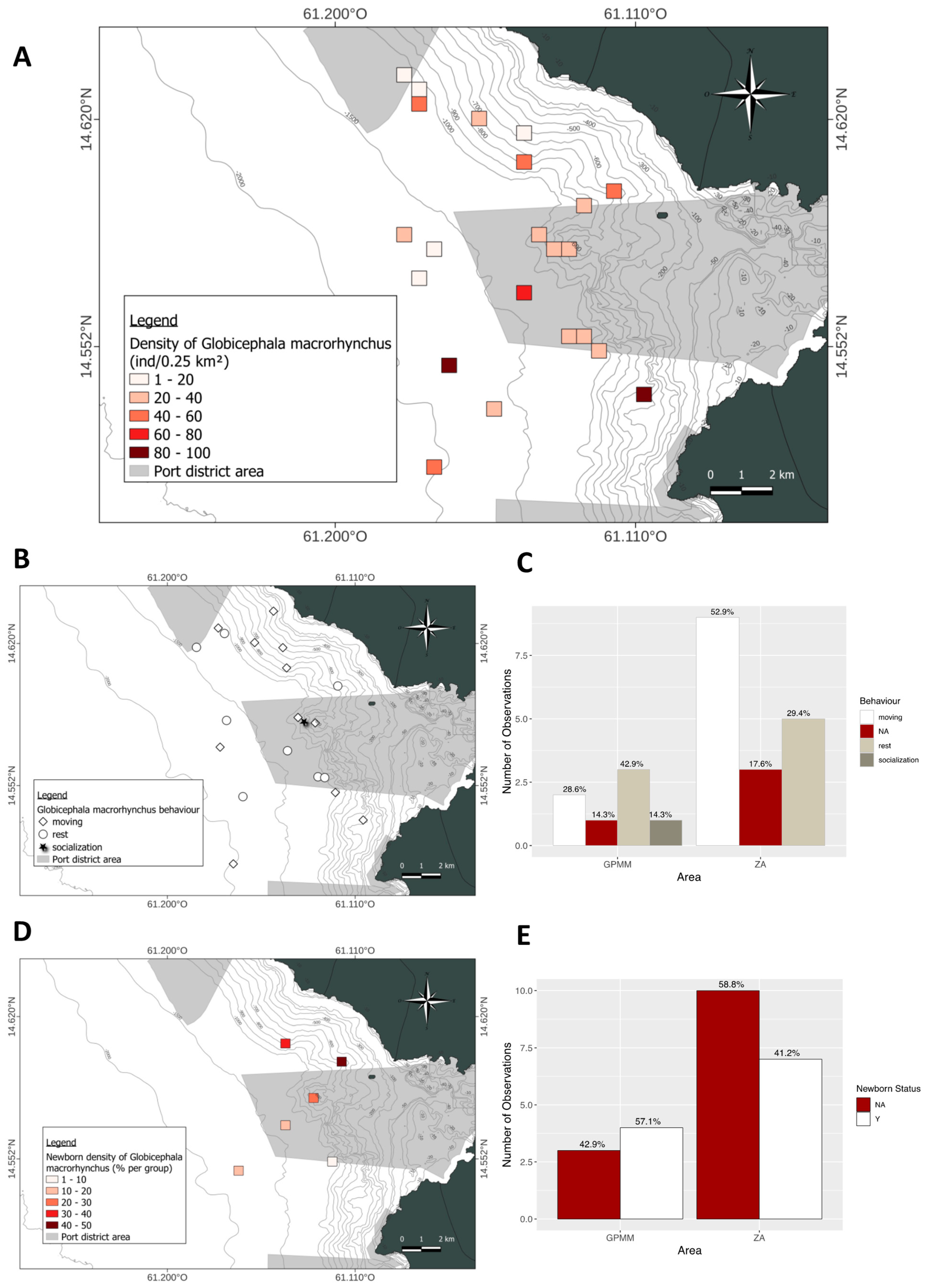 Animals 15 02640 g012 Animals 15 02640 g012