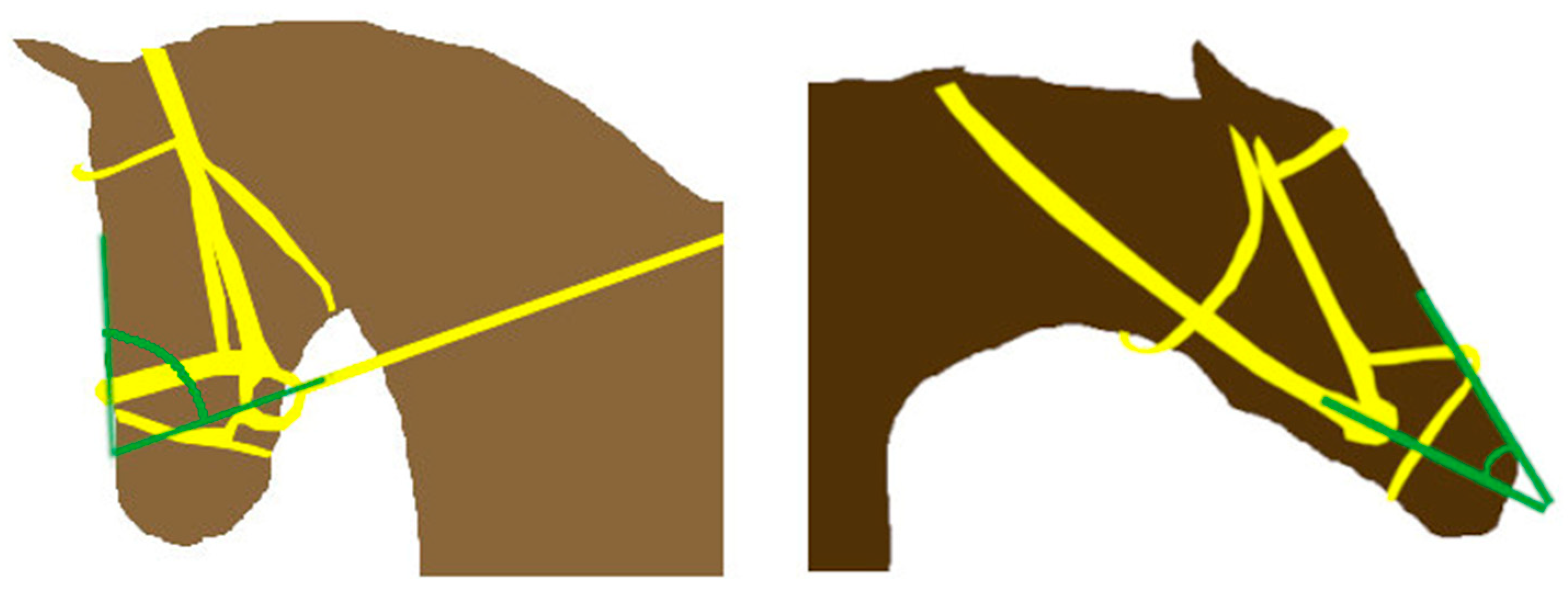 Animals 15 02648 g002