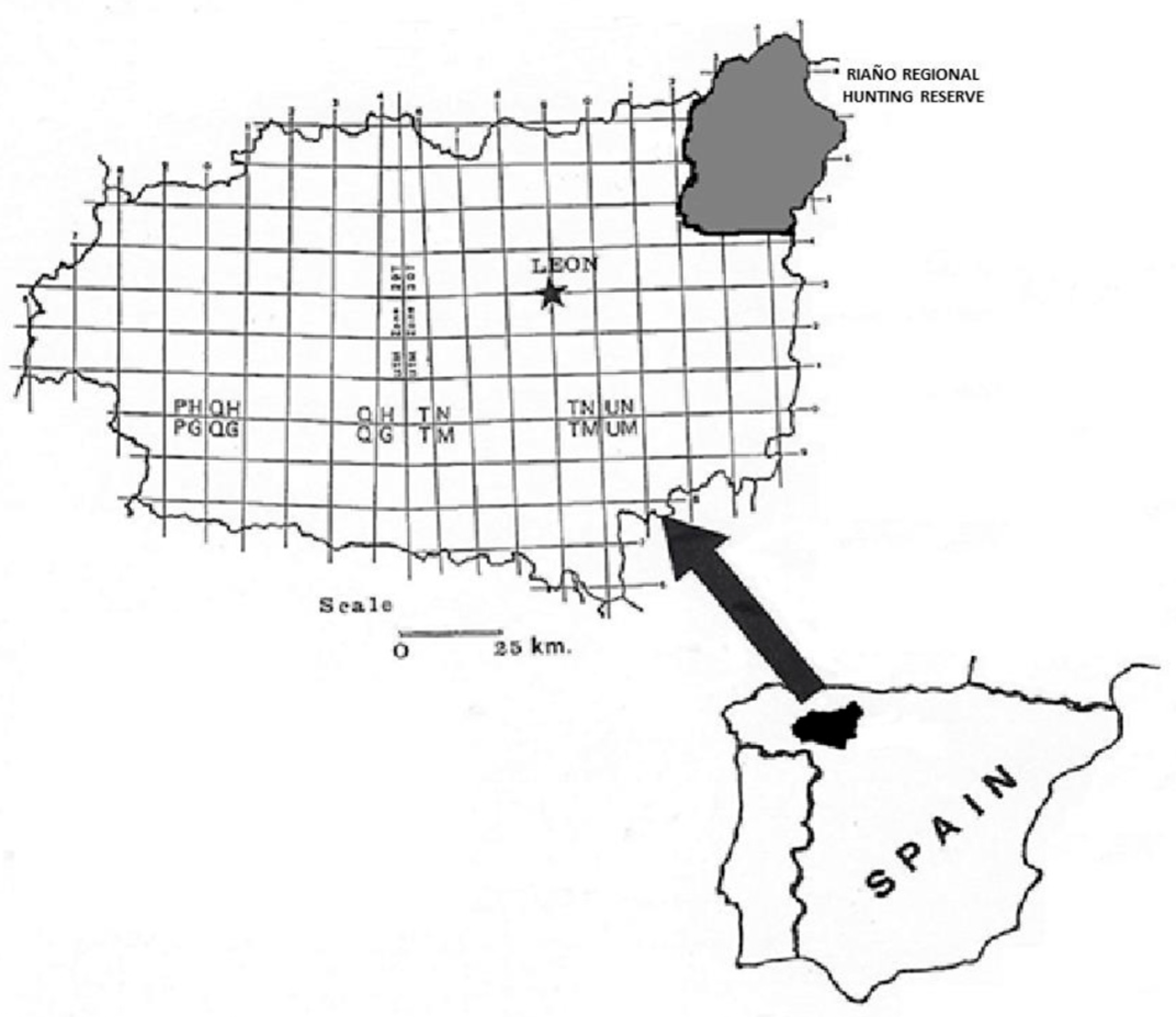 Animals 15 02649 g001 Animals 15 02649 g001