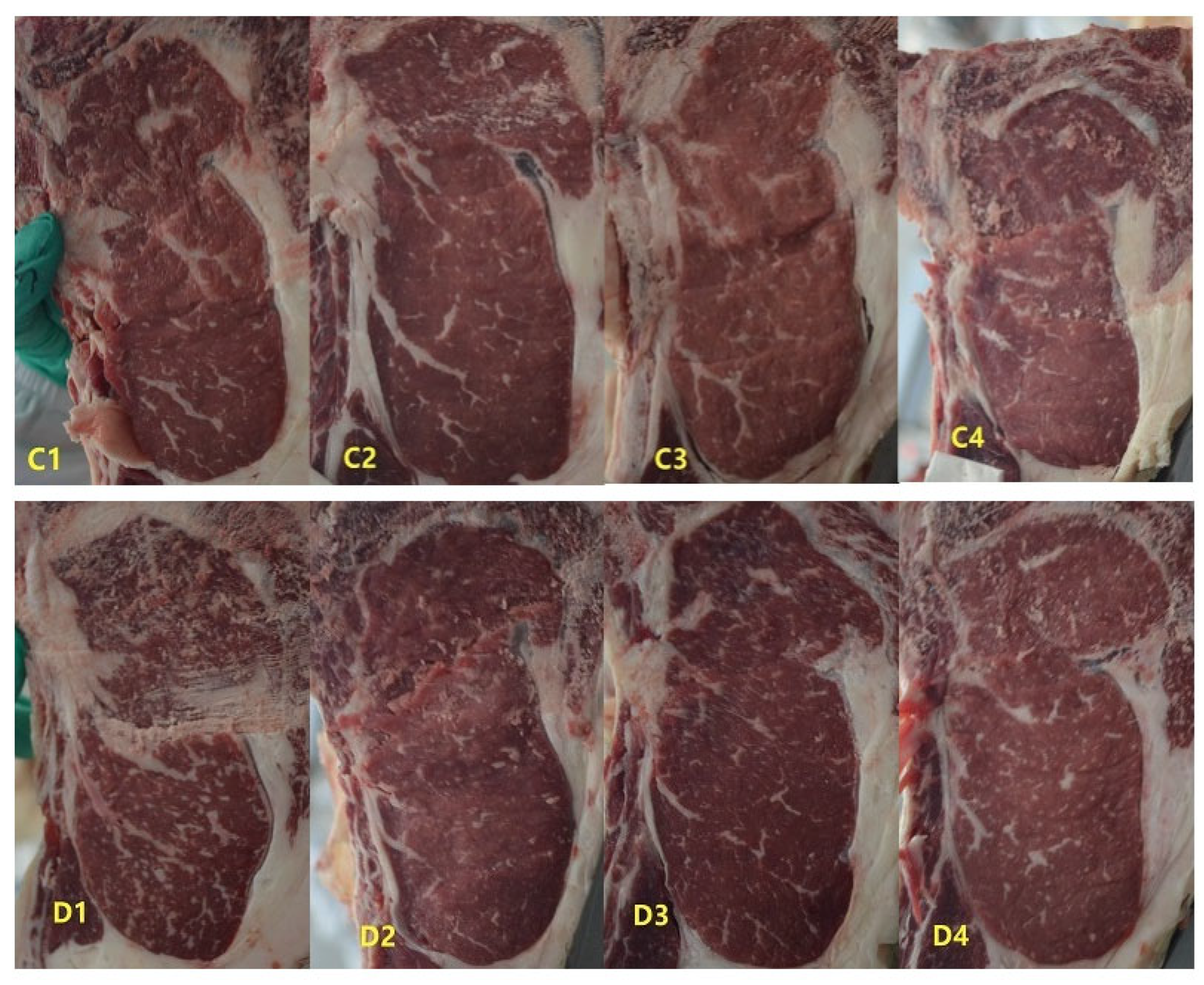 Animals 15 02650 g001