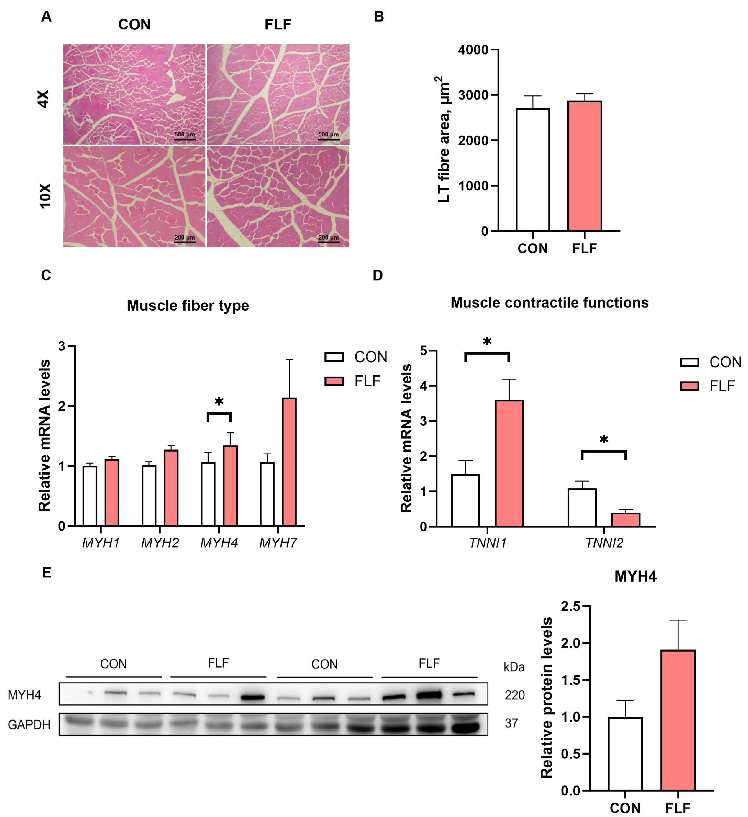 Animals 15 02657 g001