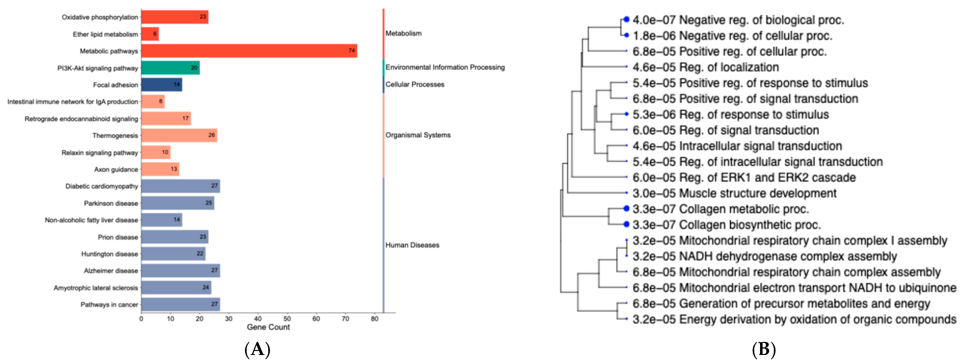 Animals 15 02664 g003 Animals 15 02664 g003