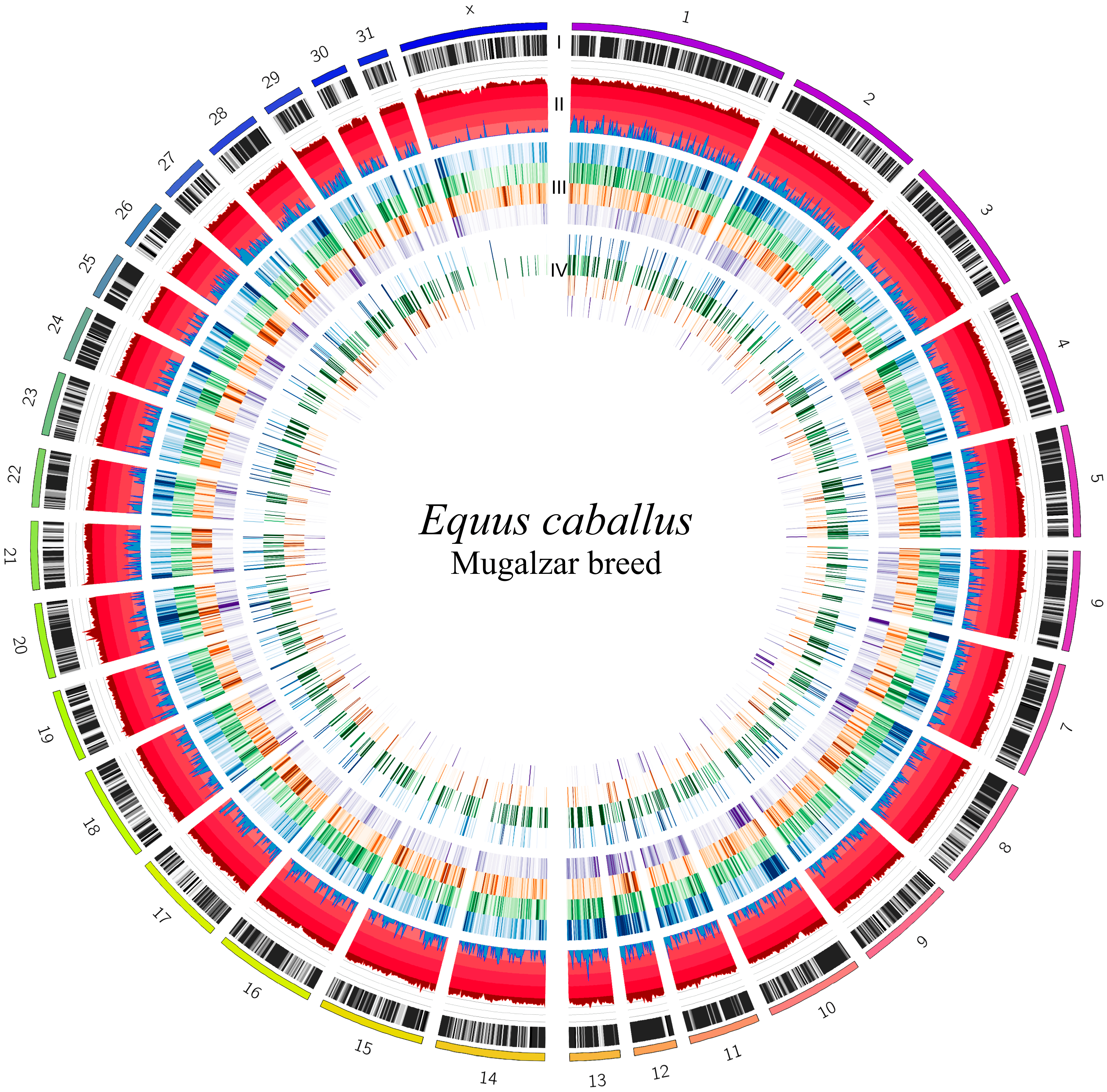 Animals 15 02667 g004 Animals 15 02667 g004