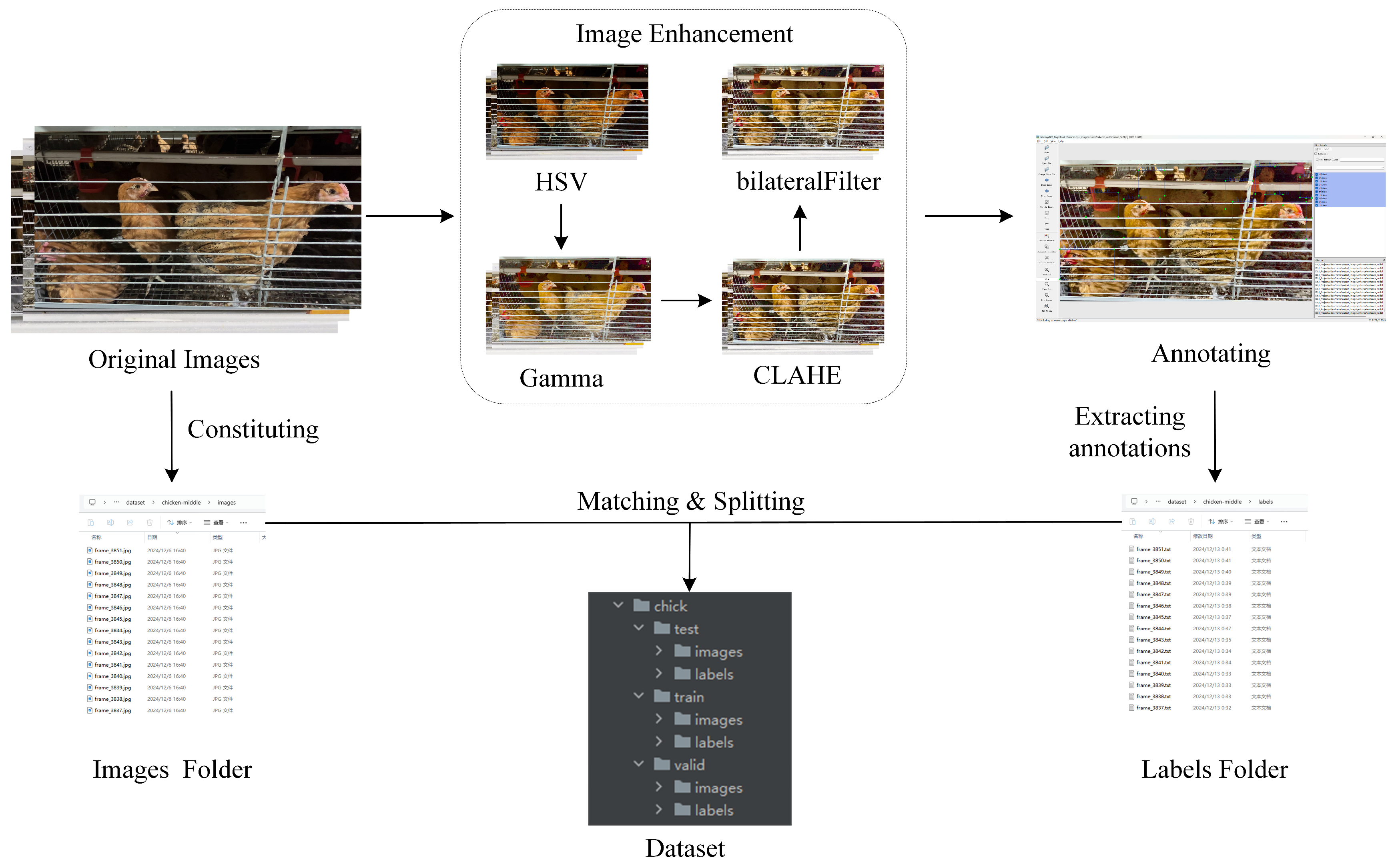 Animals 15 02669 g006 Animals 15 02669 g006