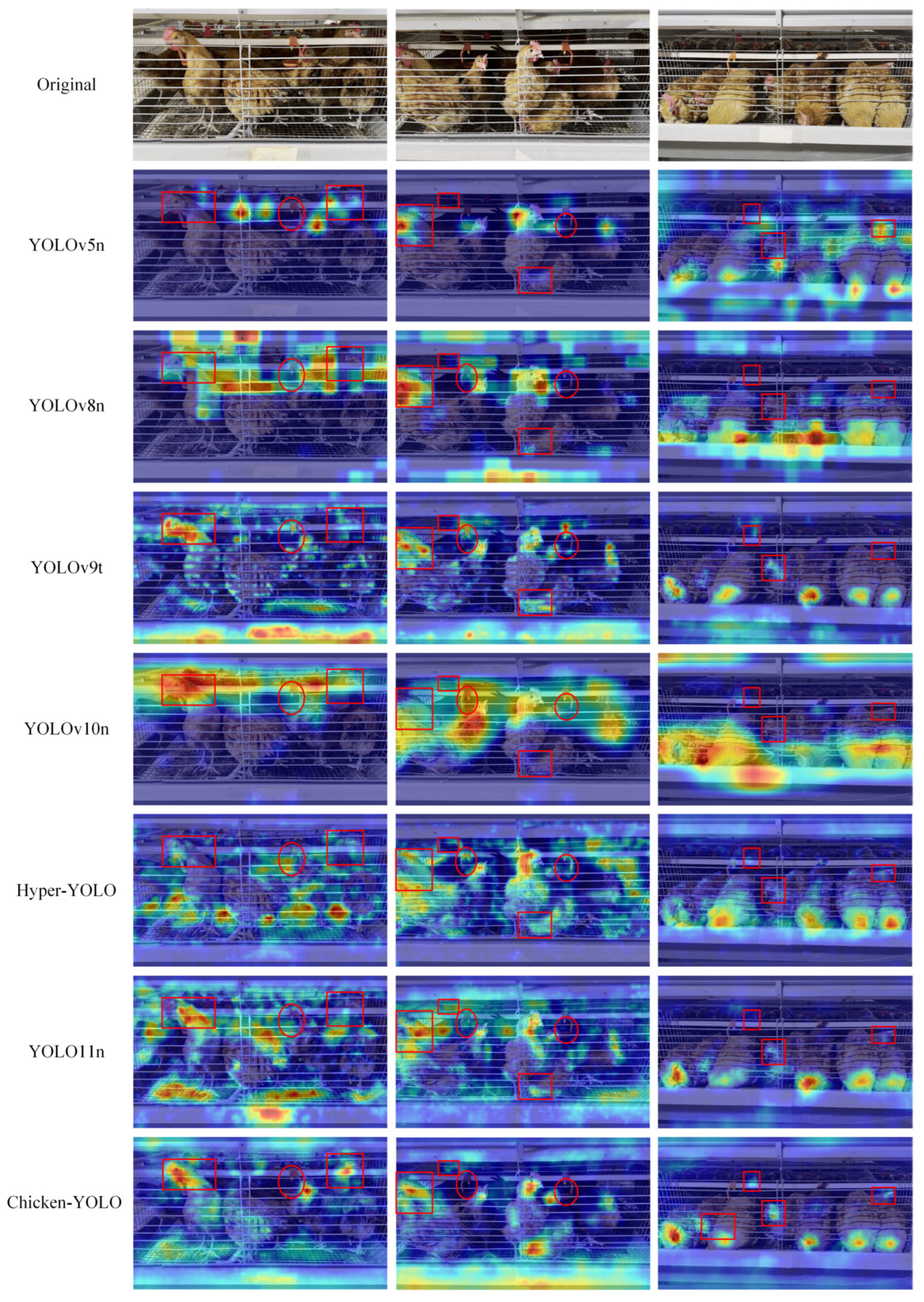 Animals 15 02669 g018 Animals 15 02669 g018