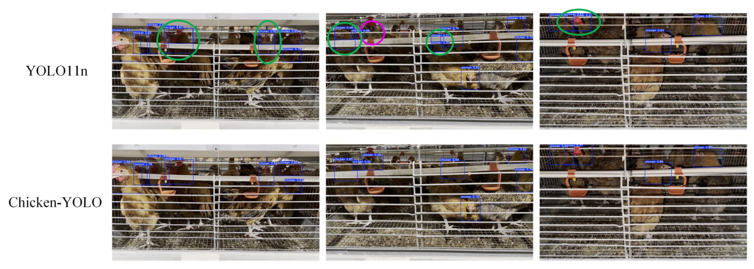 Animals 15 02669 g024 Animals 15 02669 g024