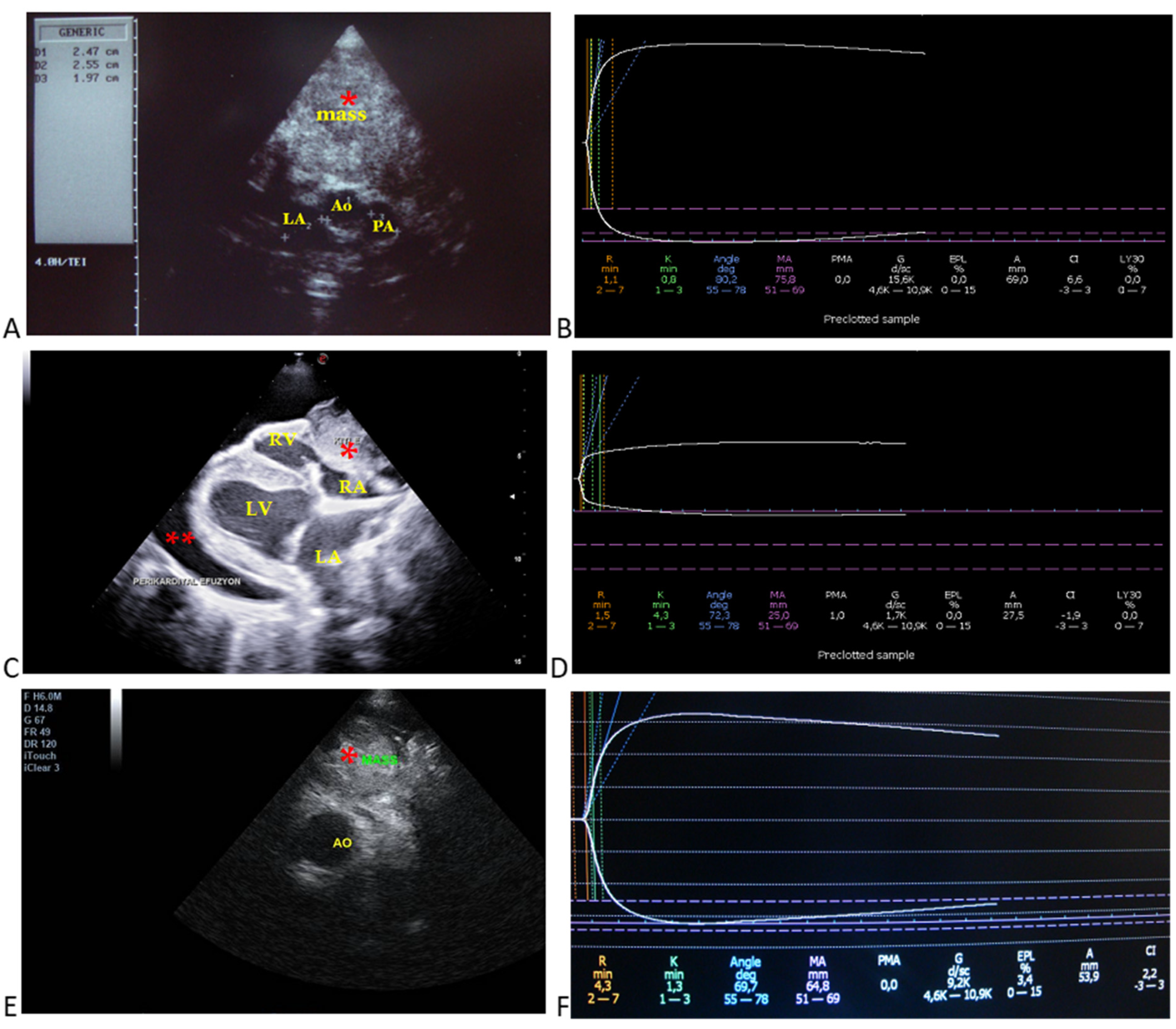 Animals 15 02674 g001 Animals 15 02674 g001