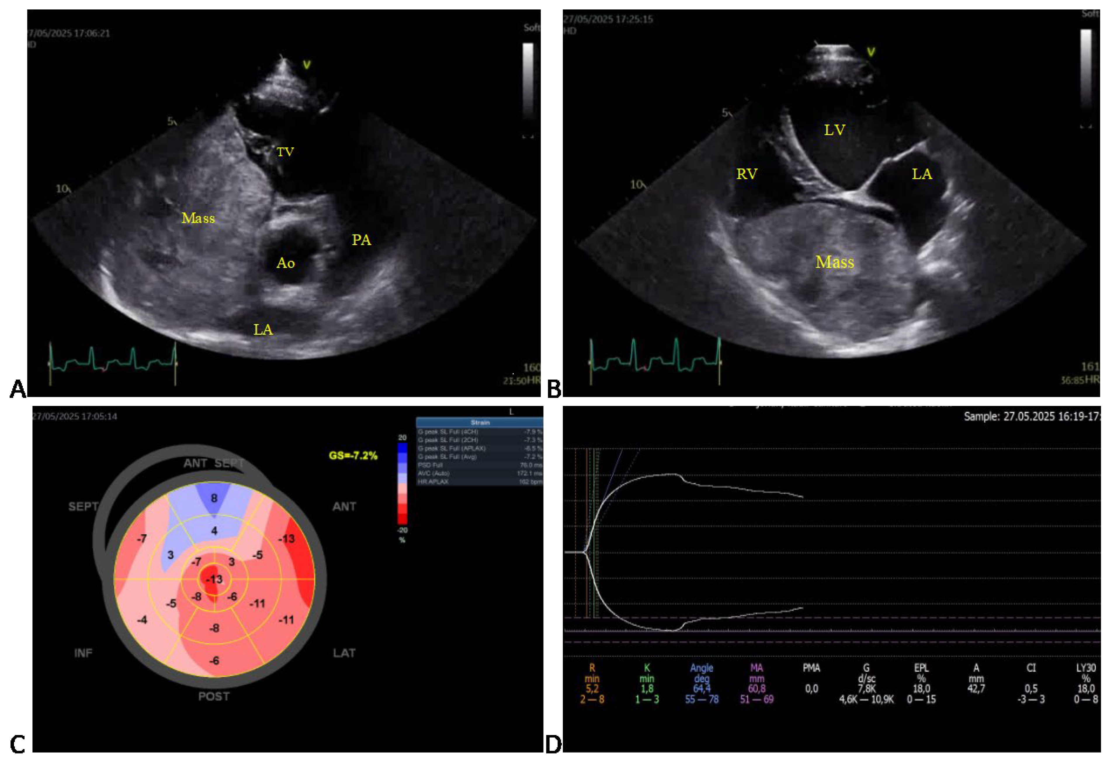 Animals 15 02674 g002 Animals 15 02674 g002