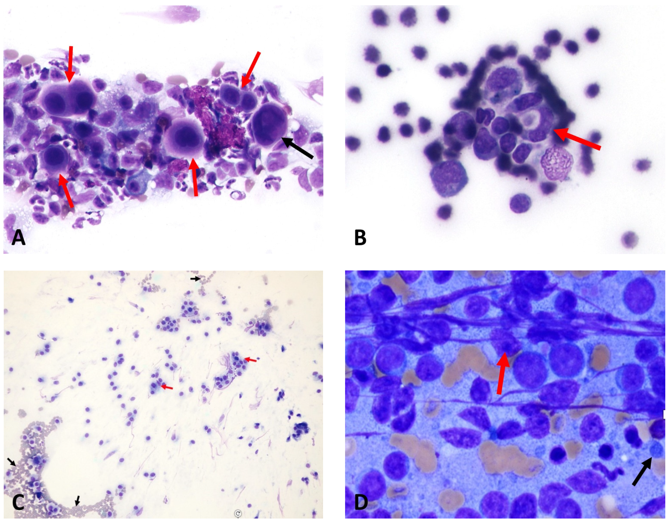 Animals 15 02674 g004 Animals 15 02674 g004