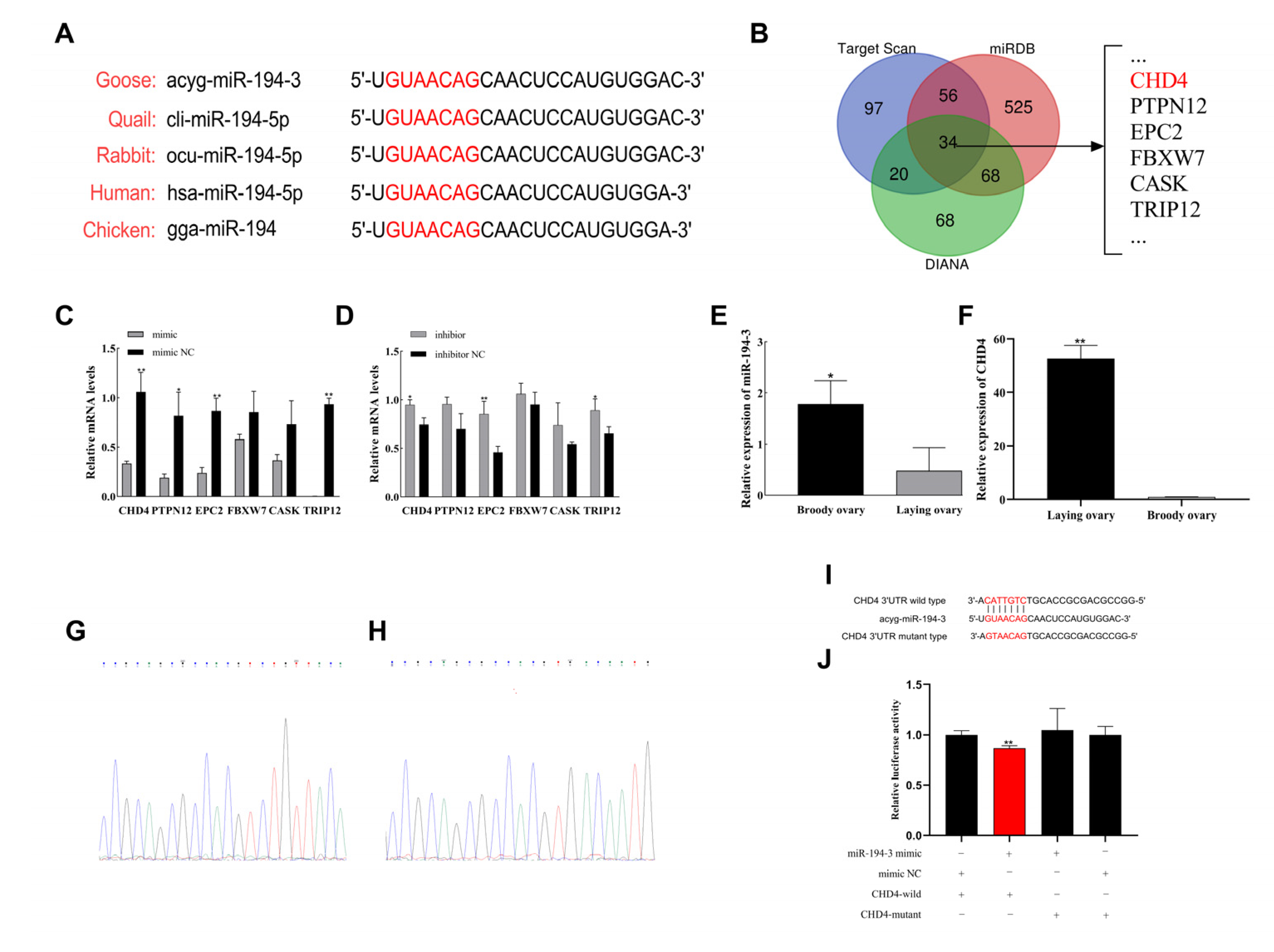 Animals 15 02676 g002
