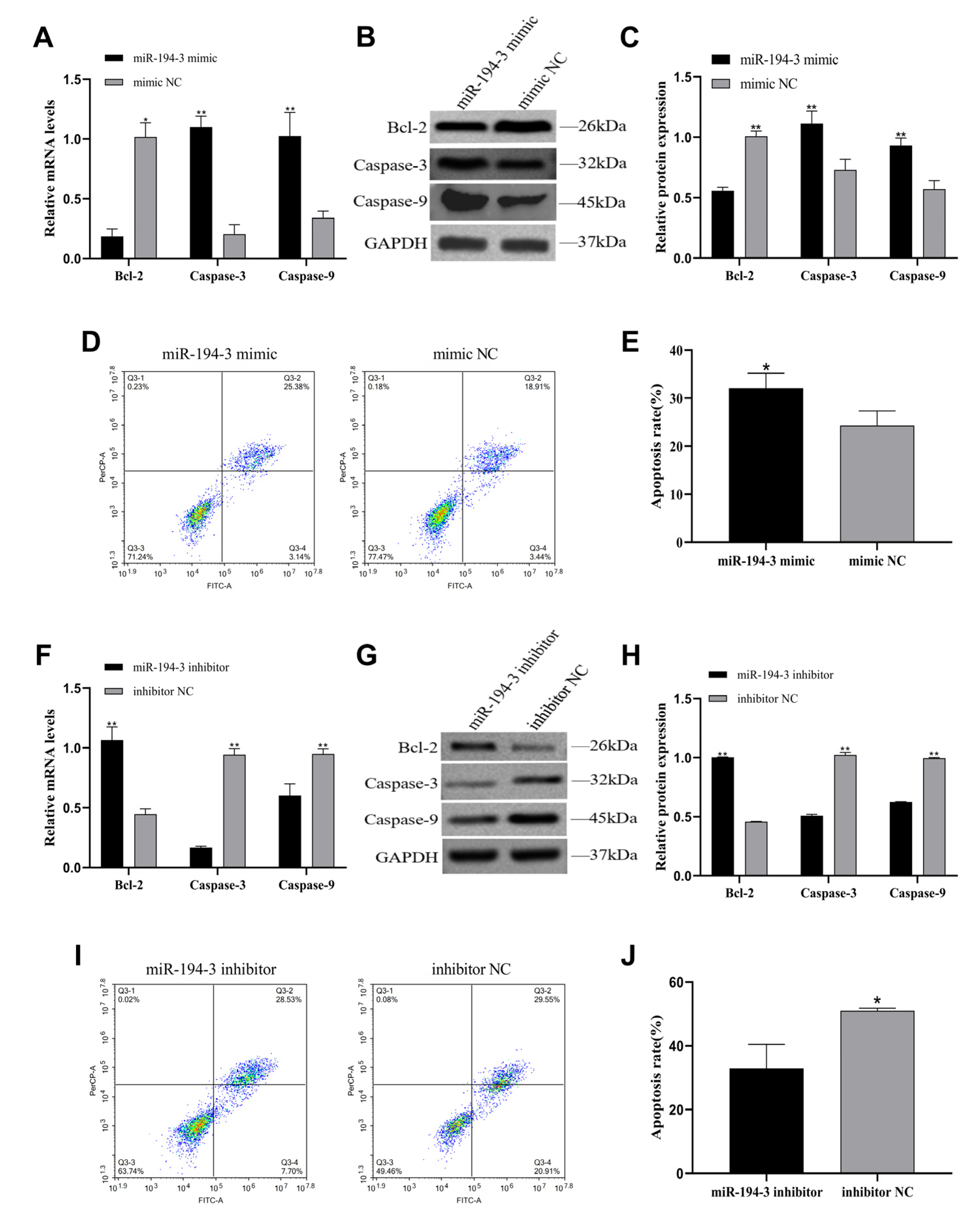 Animals 15 02676 g005