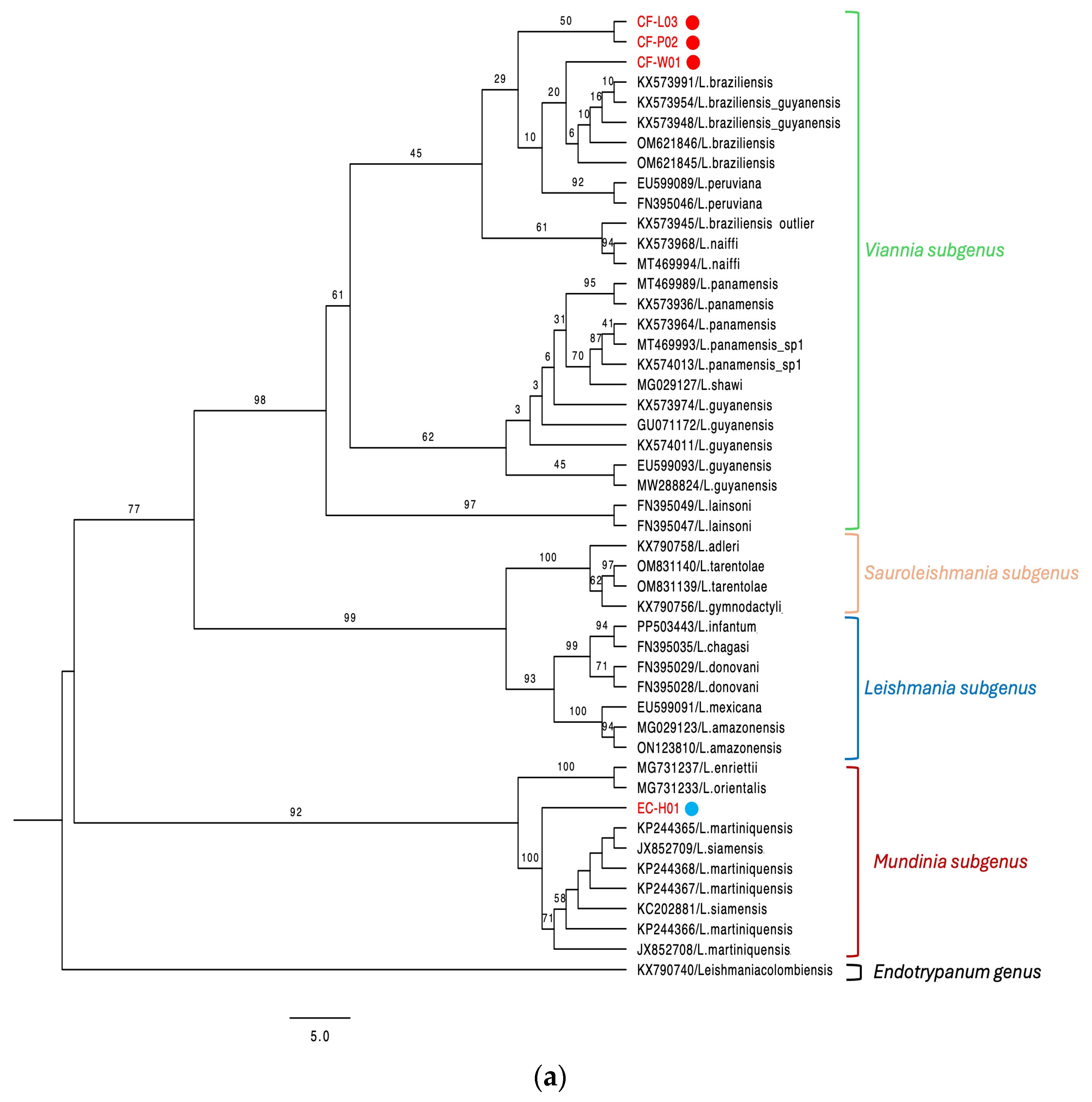 Animals 15 02677 g001a Animals 15 02677 g001a