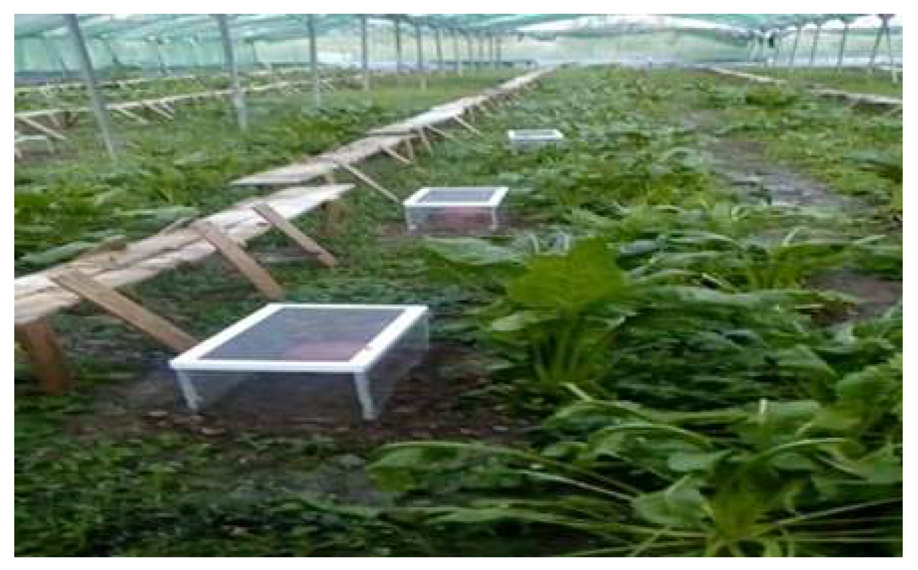 Animals 15 02680 g001 Animals 15 02680 g001