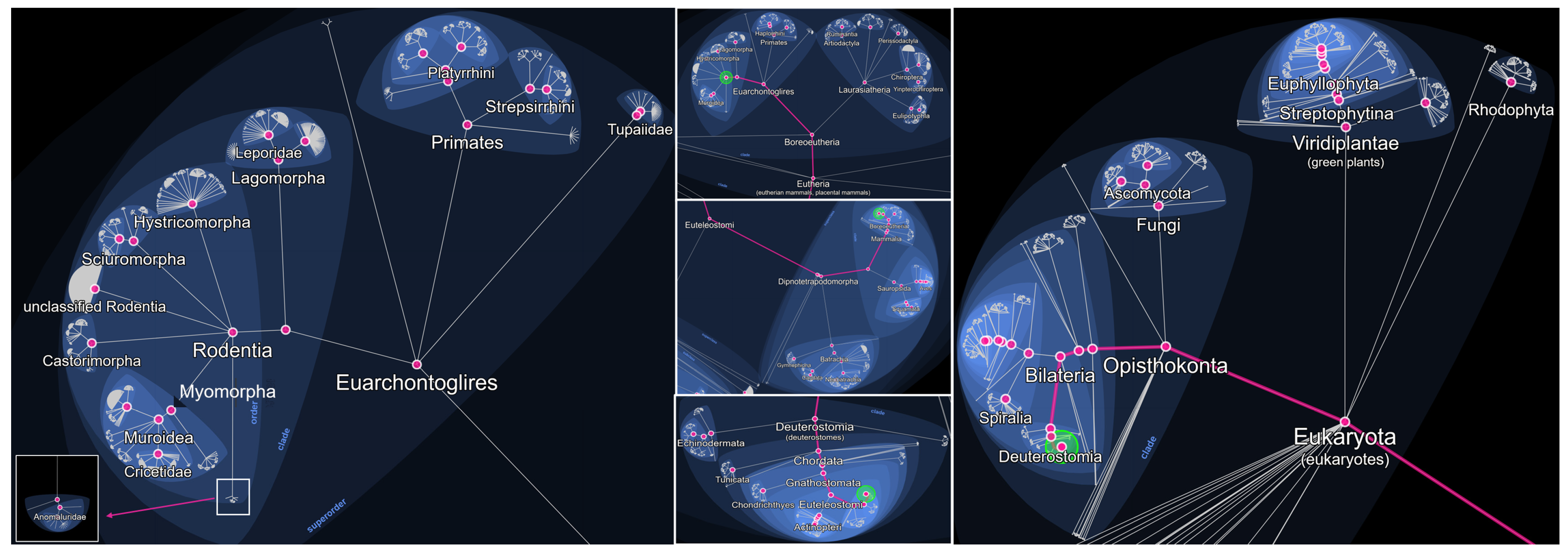 Animals 15 02681 g001 Animals 15 02681 g001