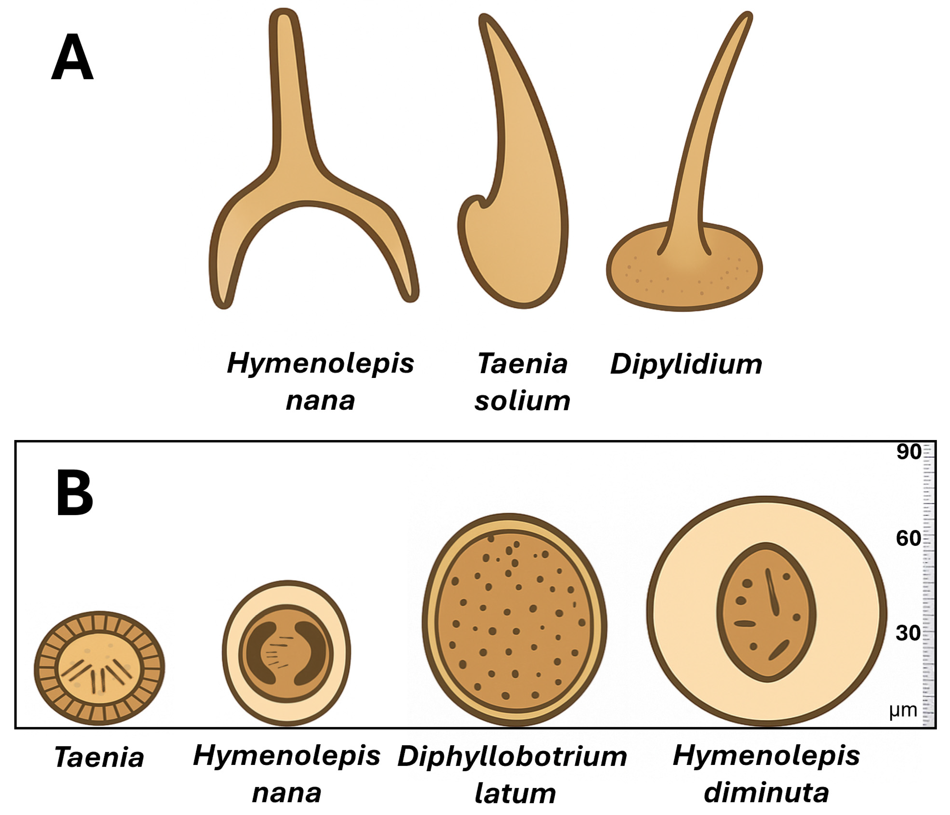 Animals 15 02681 g007 Animals 15 02681 g007