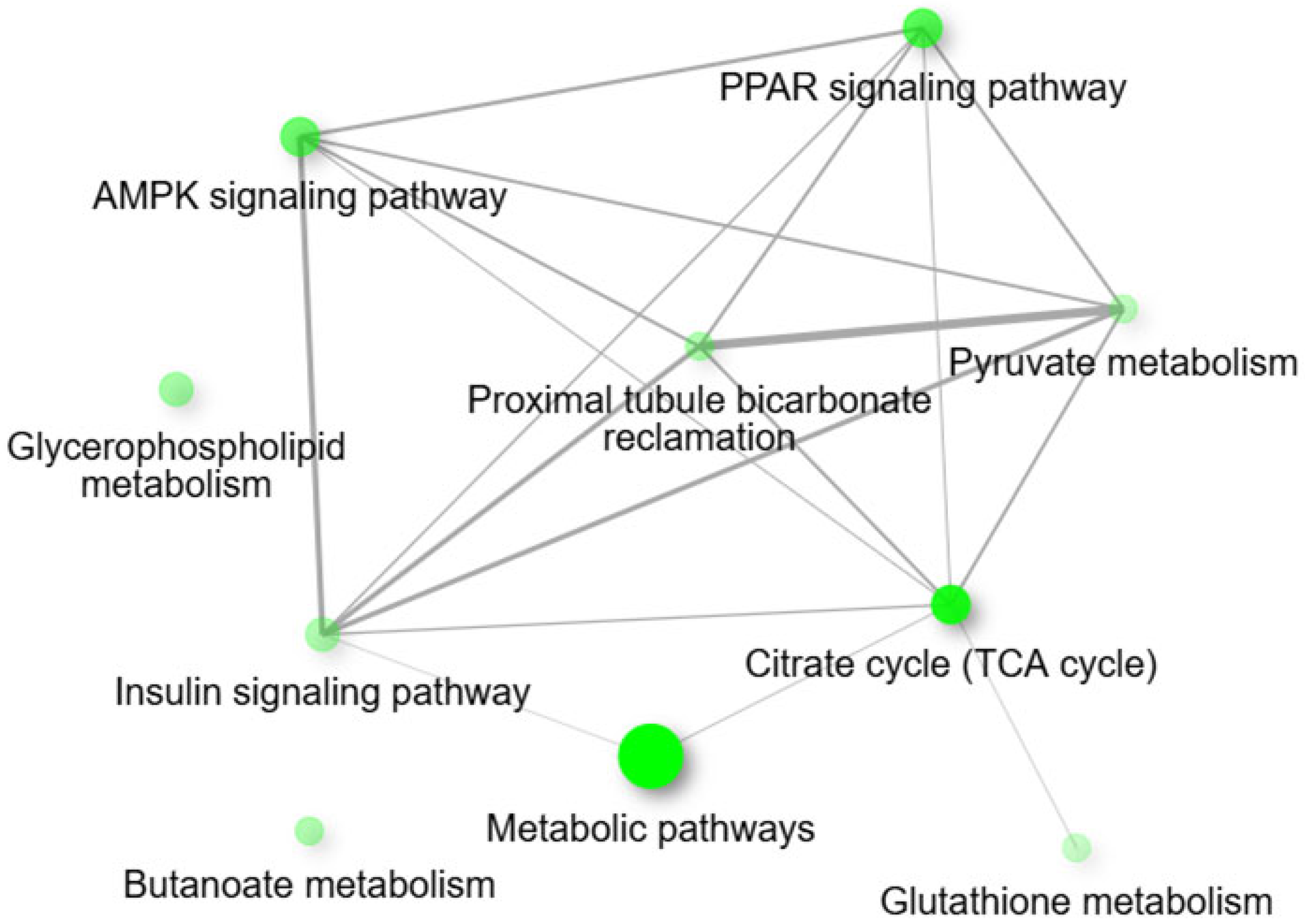 Animals 15 02689 g004 Animals 15 02689 g004