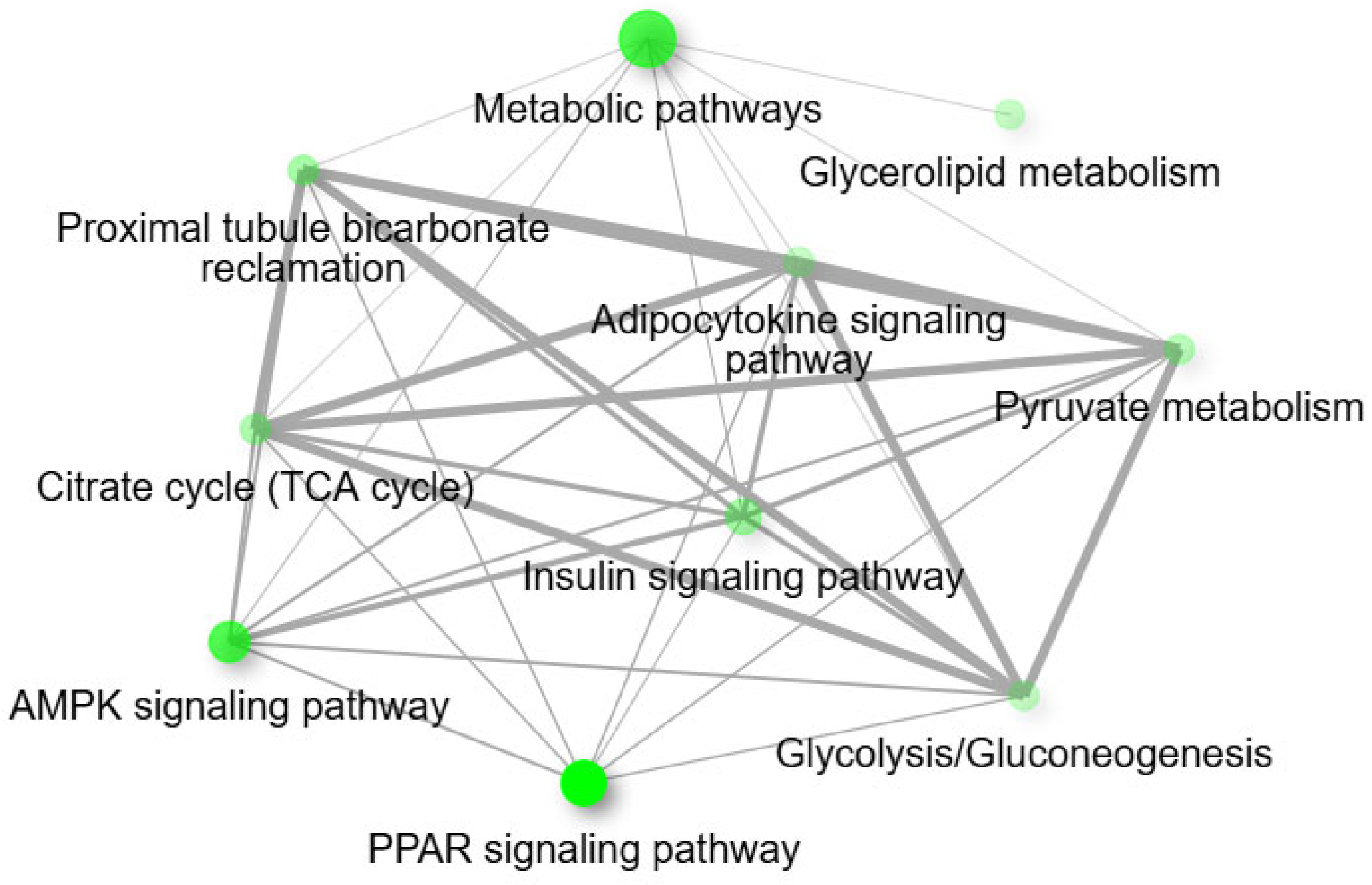 Animals 15 02689 g006 Animals 15 02689 g006