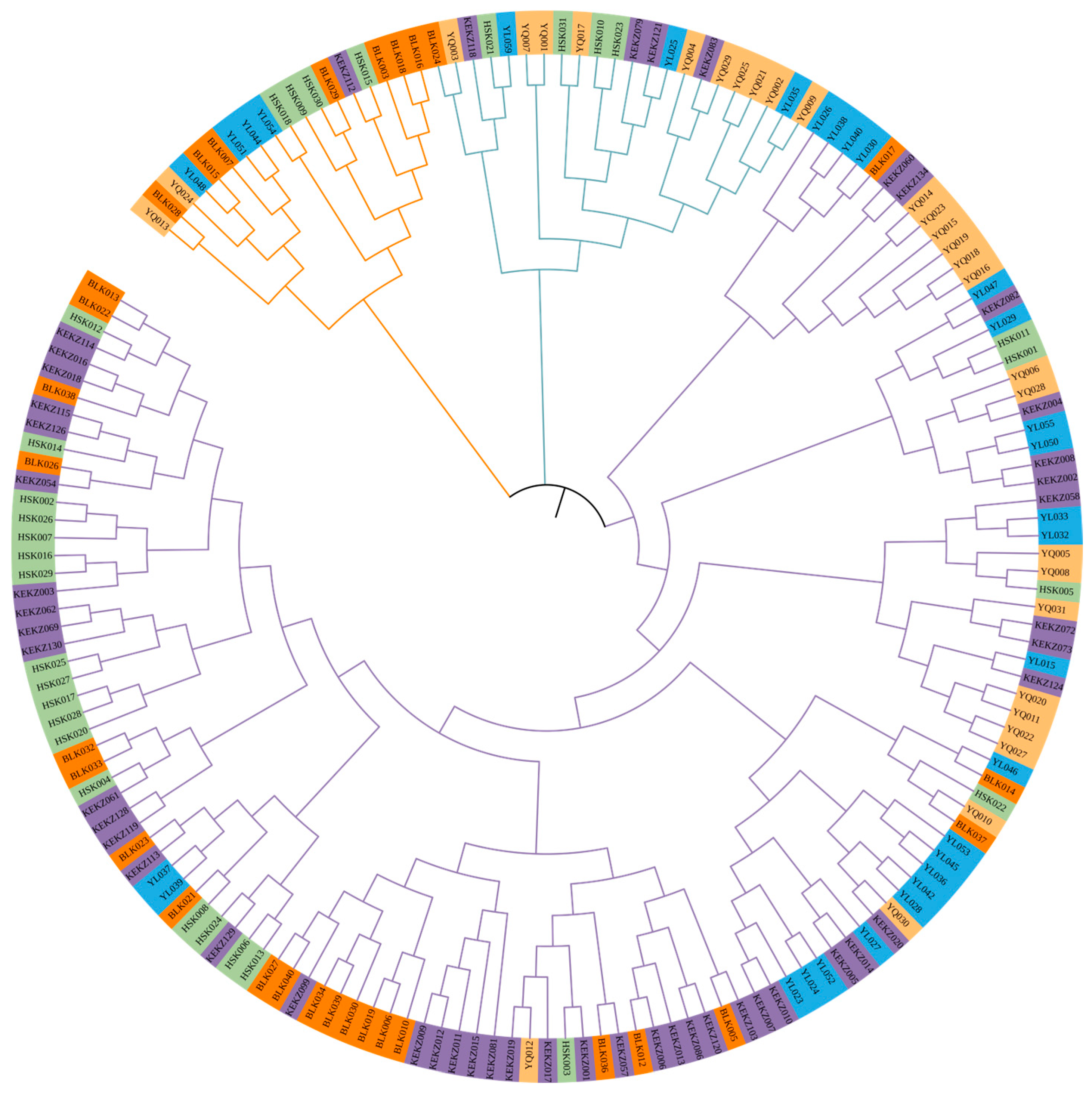 Animals 15 02690 g003 Animals 15 02690 g003