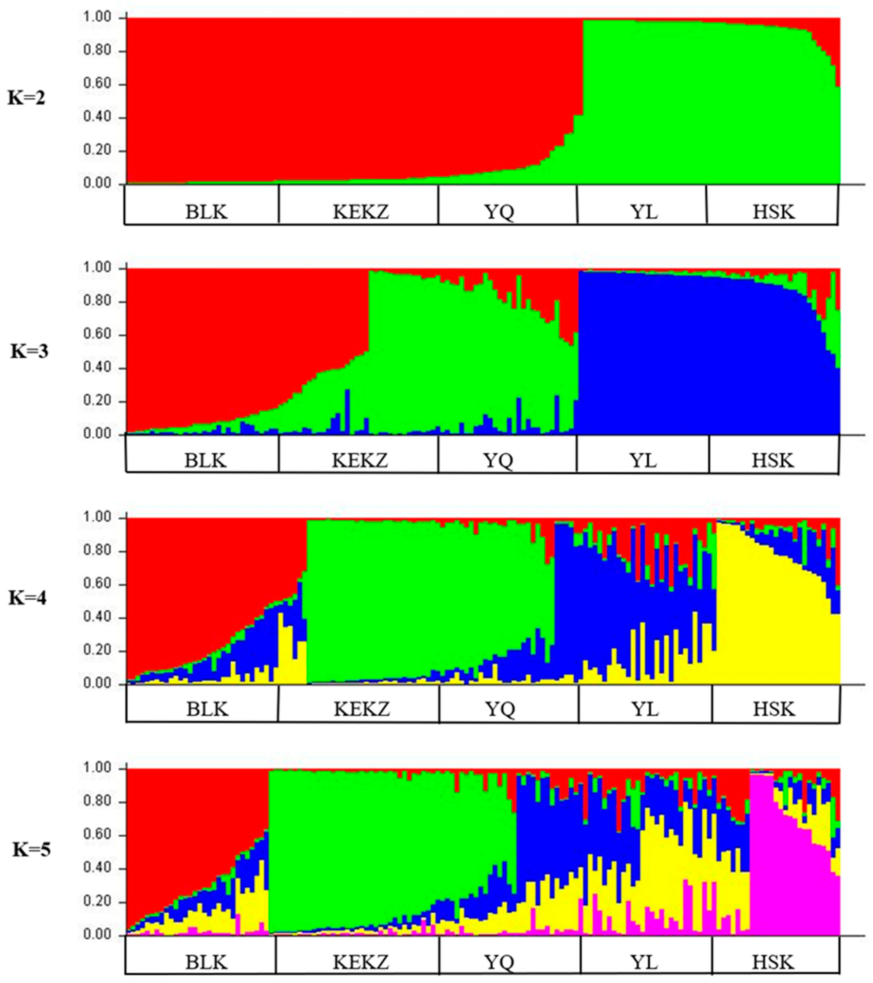 Animals 15 02690 g004 Animals 15 02690 g004