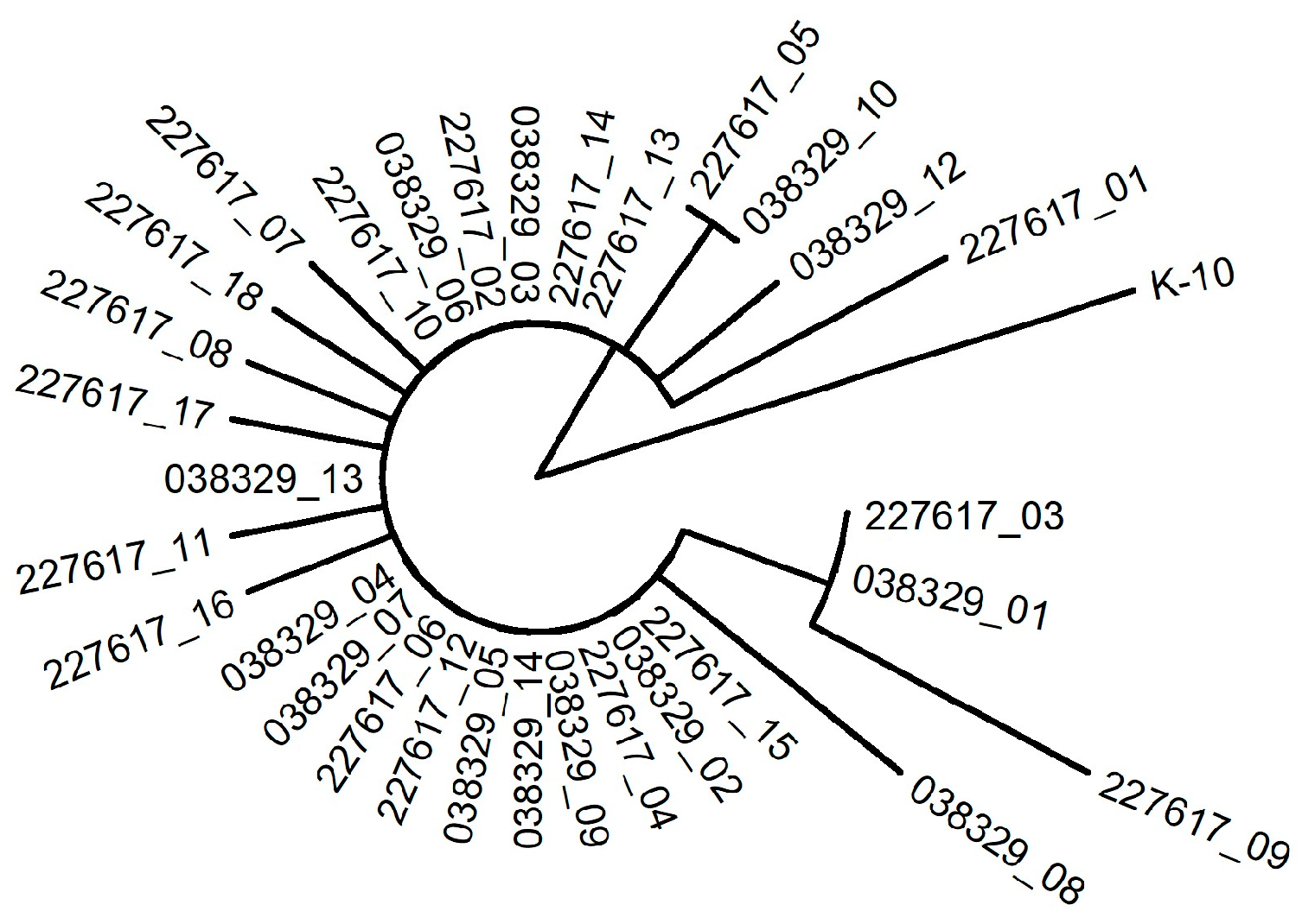 Animals 15 02695 g005